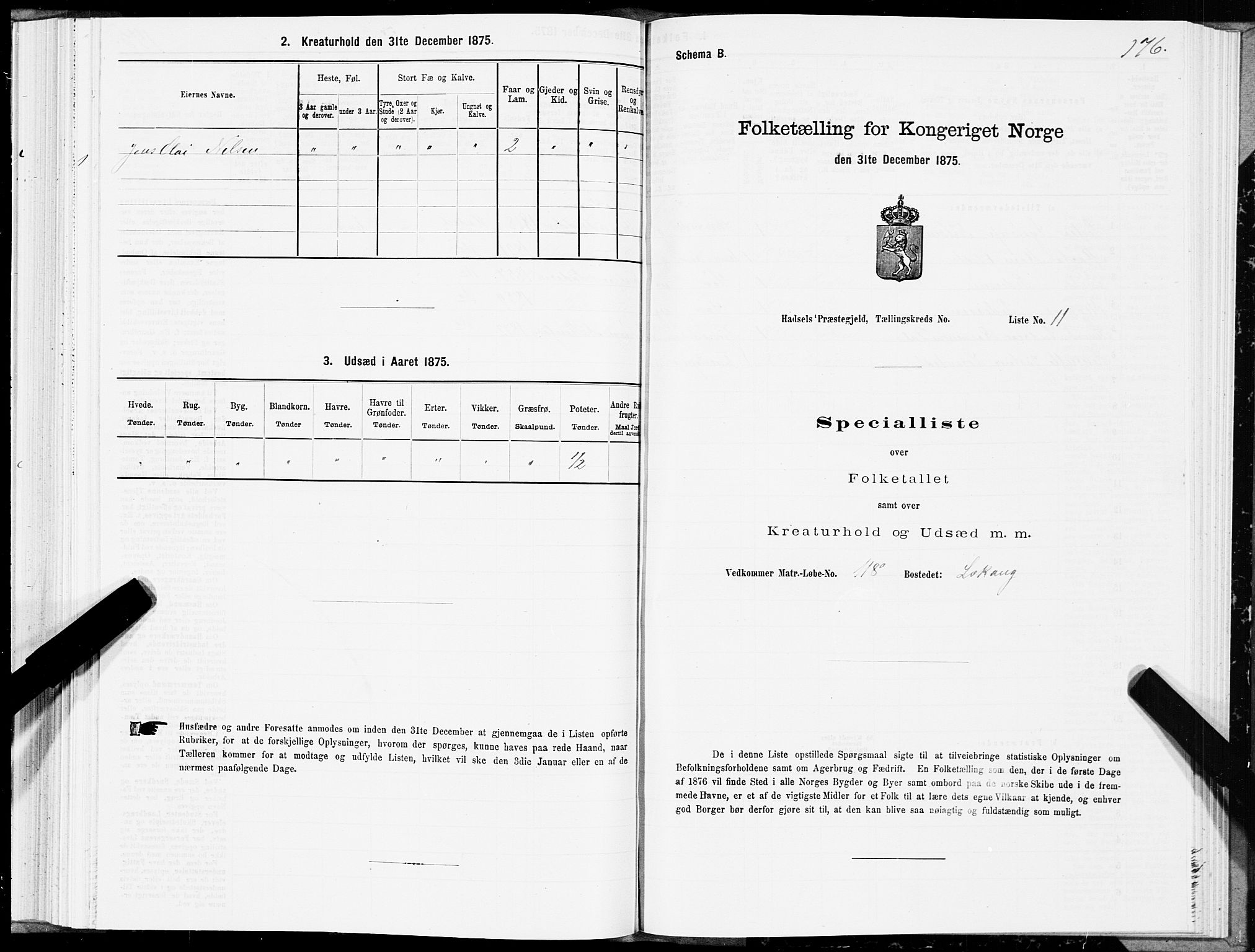 SAT, 1875 census for 1866P Hadsel, 1875, p. 2176