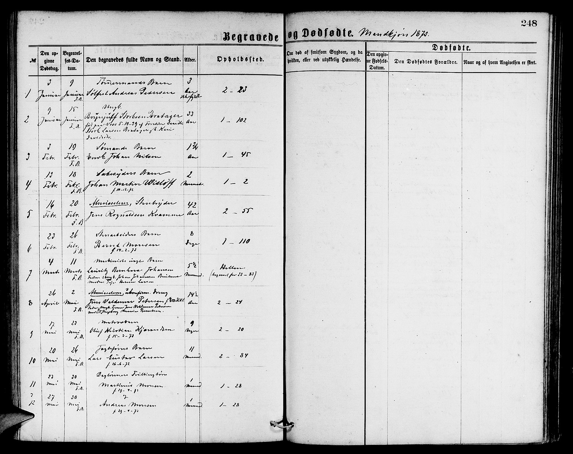Sandviken Sokneprestembete, SAB/A-77601/H/Hb: Parish register (copy) no. A 1, 1867-1879, p. 248