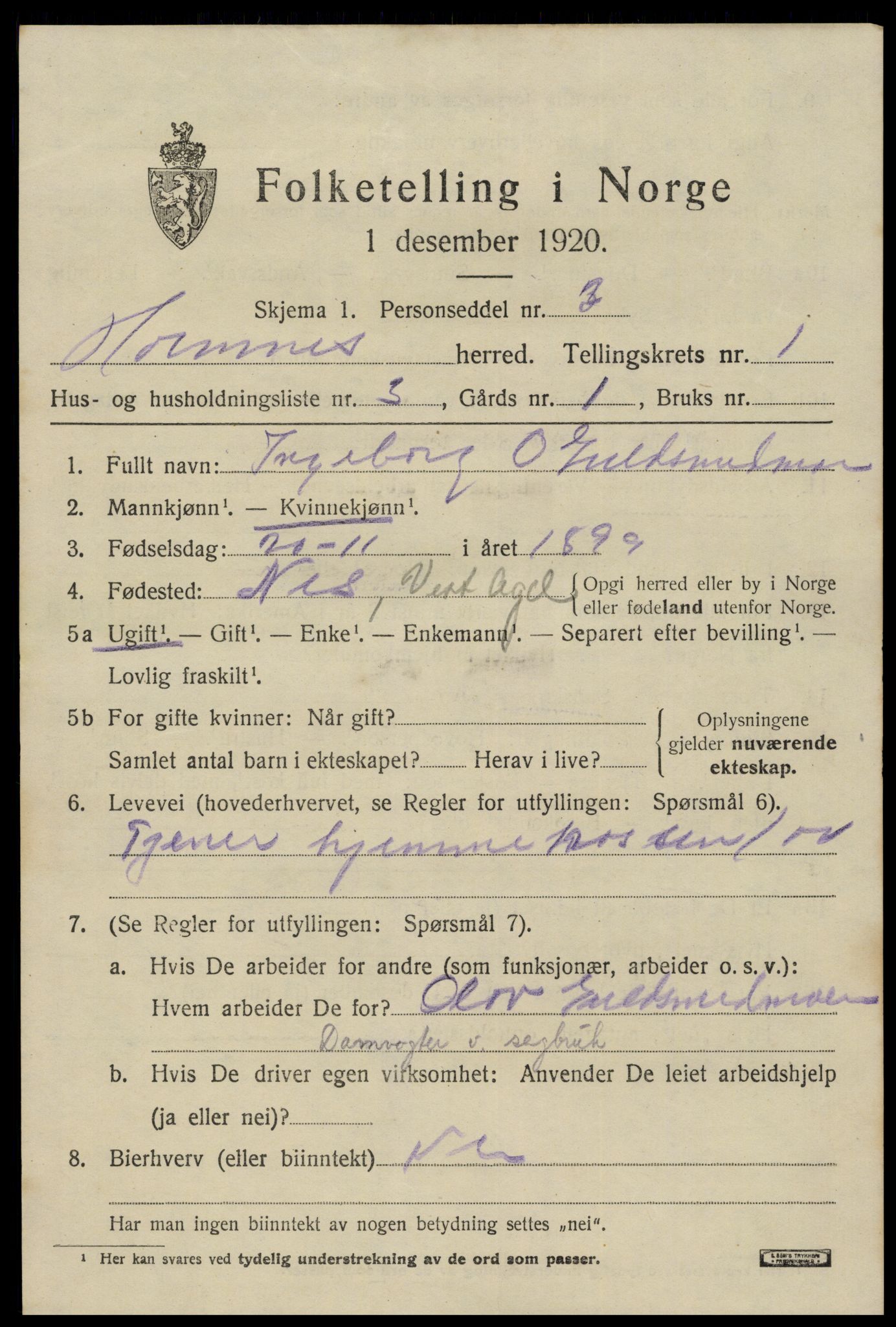 SAK, 1920 census for Hornnes, 1920, p. 583