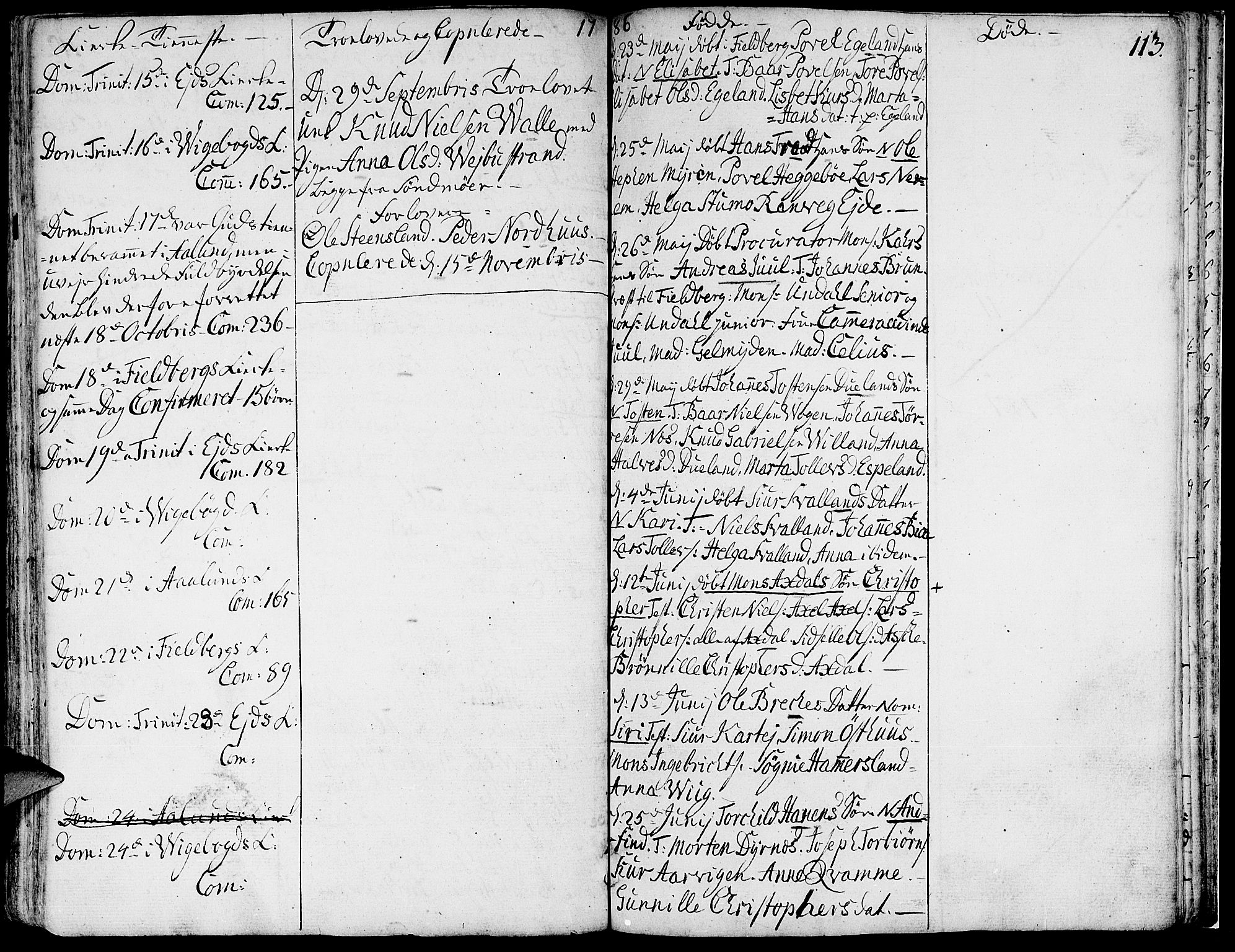 Fjelberg sokneprestembete, AV/SAB-A-75201/H/Haa: Parish register (official) no. A 2, 1760-1788, p. 113