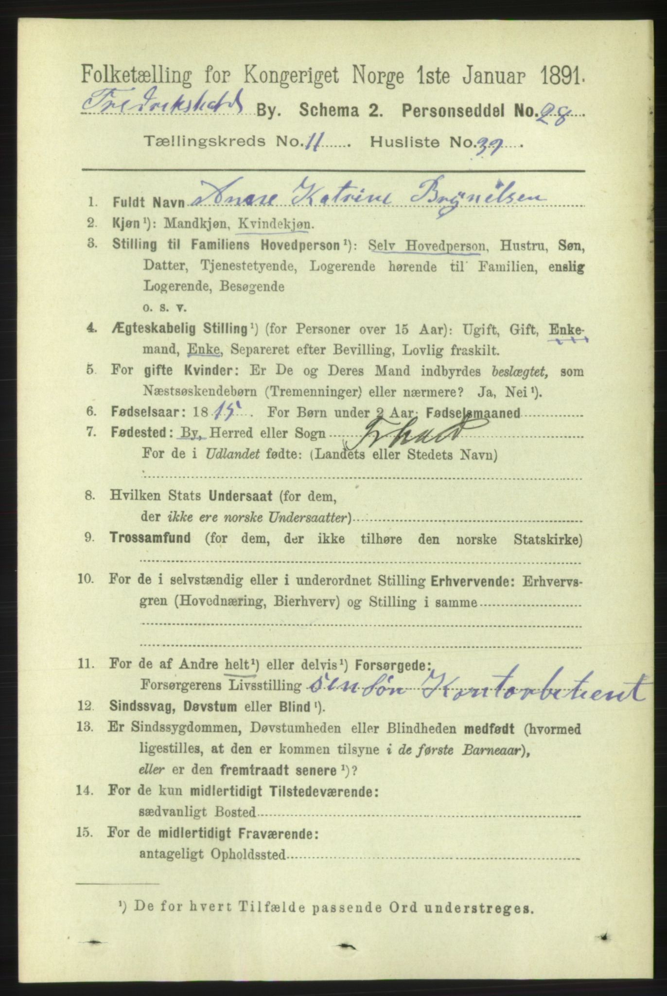 RA, 1891 census for 0101 Fredrikshald, 1891, p. 8205