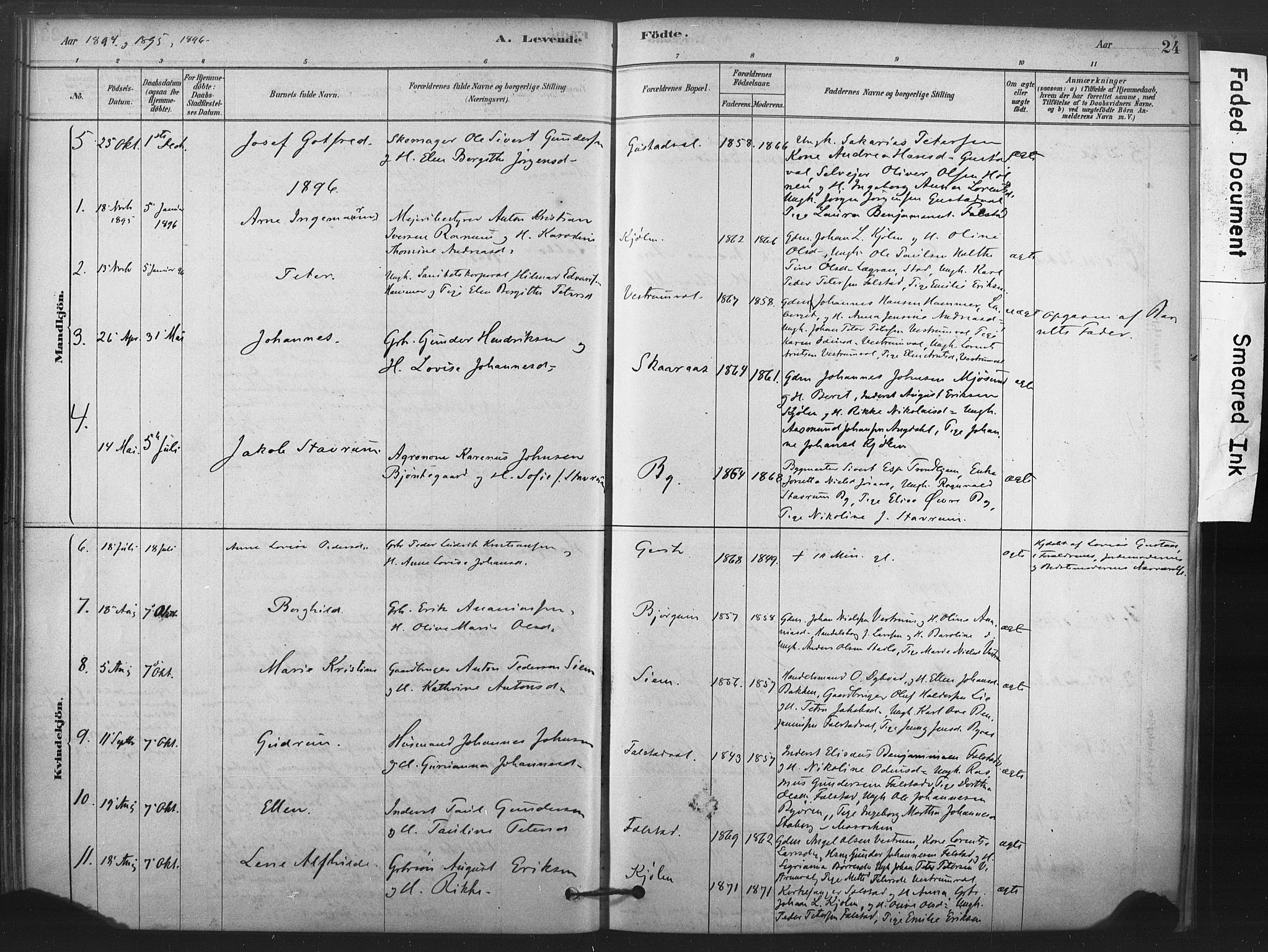 Ministerialprotokoller, klokkerbøker og fødselsregistre - Nord-Trøndelag, AV/SAT-A-1458/719/L0178: Parish register (official) no. 719A01, 1878-1900, p. 24