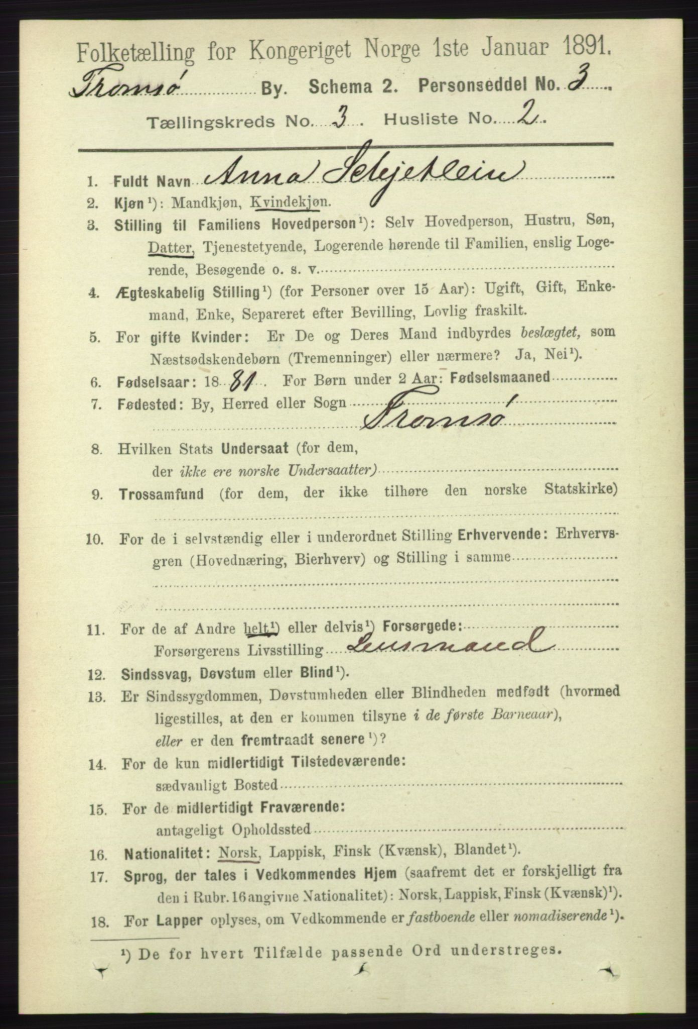 RA, 1891 census for 1902 Tromsø, 1891, p. 3184