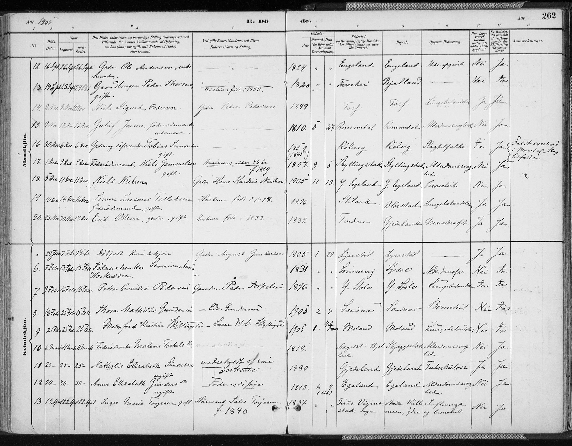 Sør-Audnedal sokneprestkontor, AV/SAK-1111-0039/F/Fa/Fab/L0010: Parish register (official) no. A 10, 1892-1913, p. 262