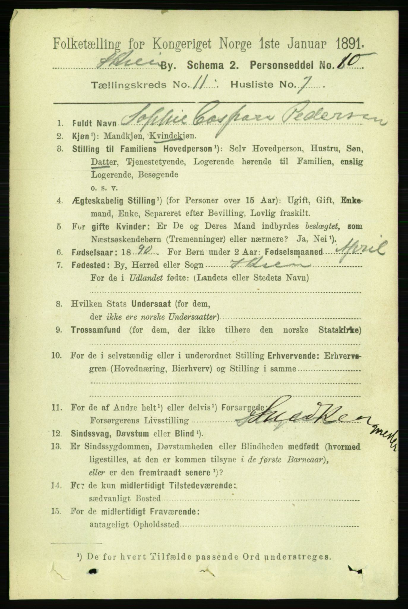 RA, 1891 census for 0806 Skien, 1891, p. 3954