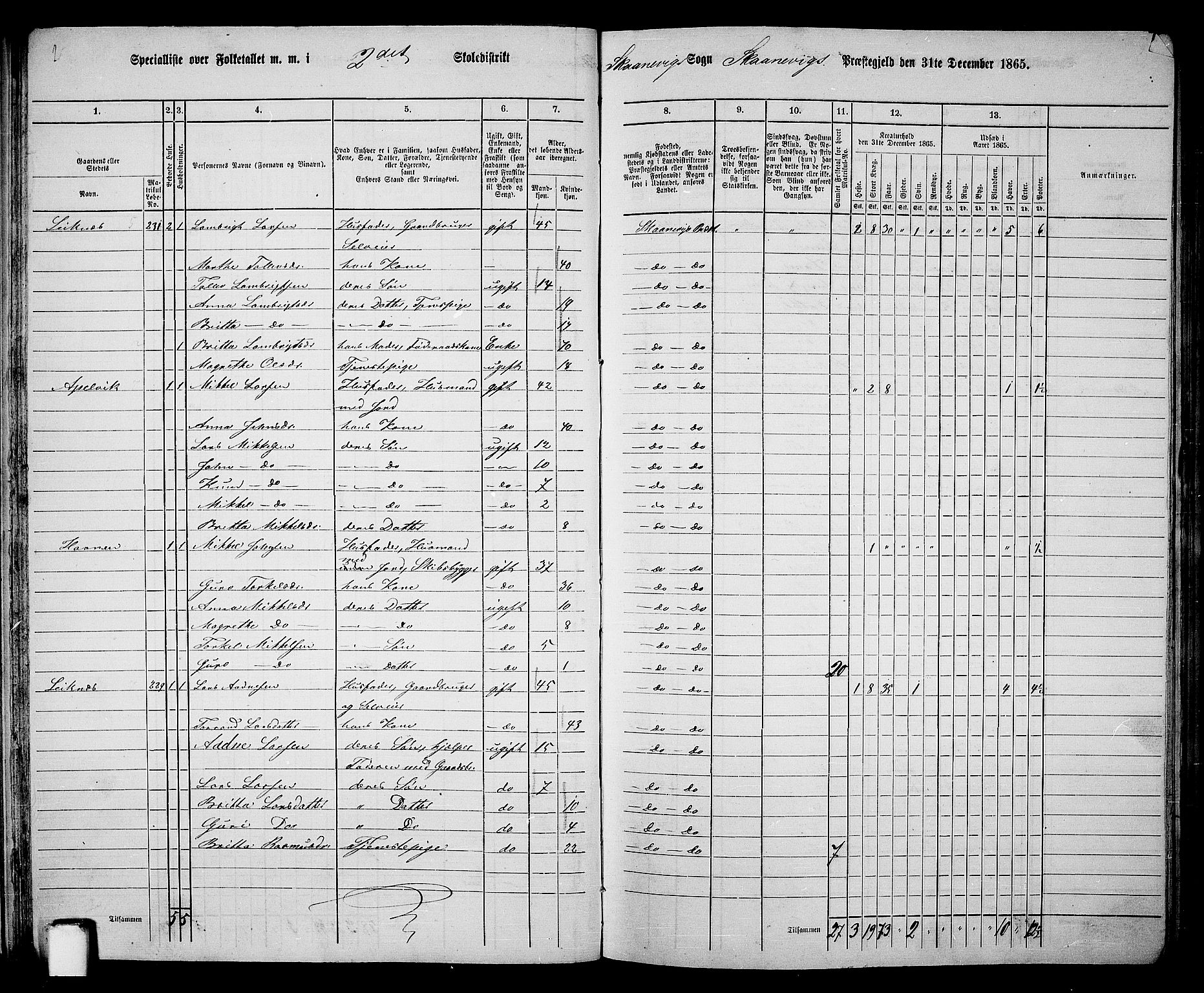 RA, 1865 census for Skånevik, 1865, p. 30