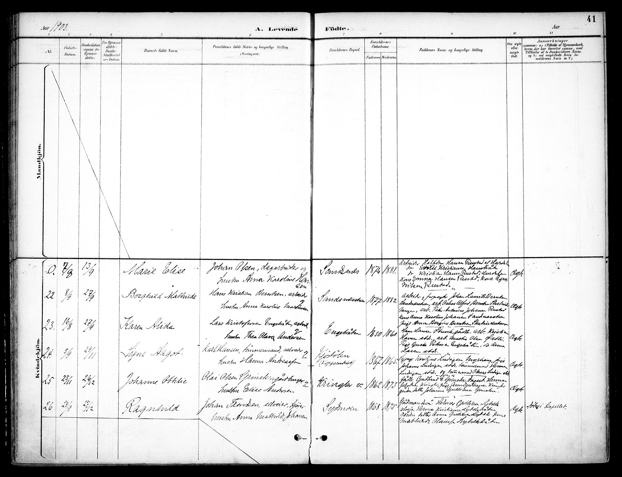 Nannestad prestekontor Kirkebøker, AV/SAO-A-10414a/F/Fc/L0002: Parish register (official) no. III 2, 1893-1907, p. 41