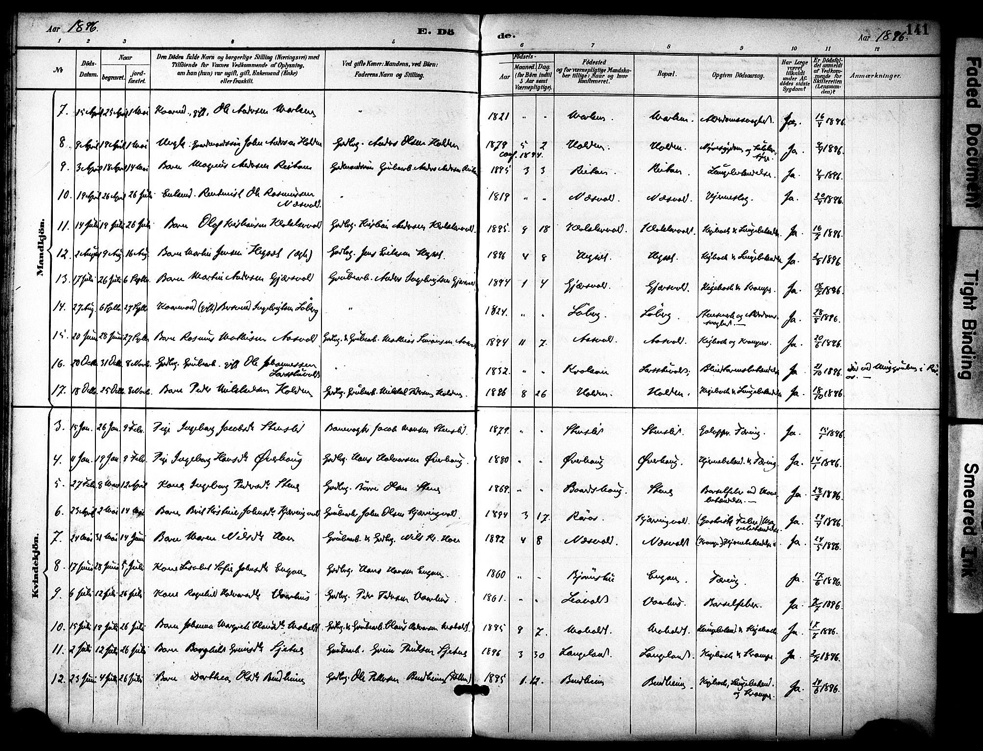 Ministerialprotokoller, klokkerbøker og fødselsregistre - Sør-Trøndelag, SAT/A-1456/686/L0984: Parish register (official) no. 686A02, 1891-1906, p. 141