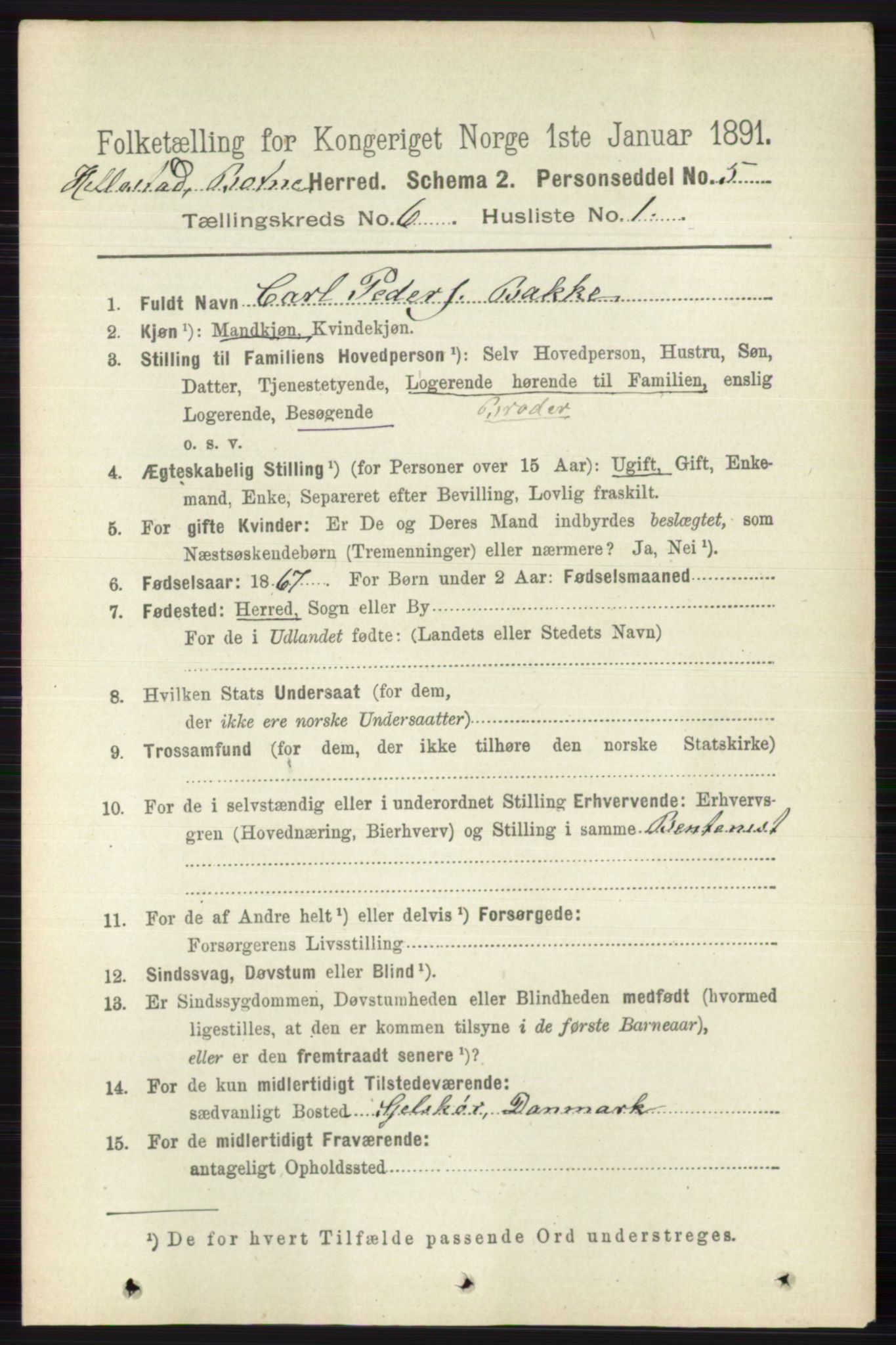 RA, 1891 census for 0715 Botne, 1891, p. 2294