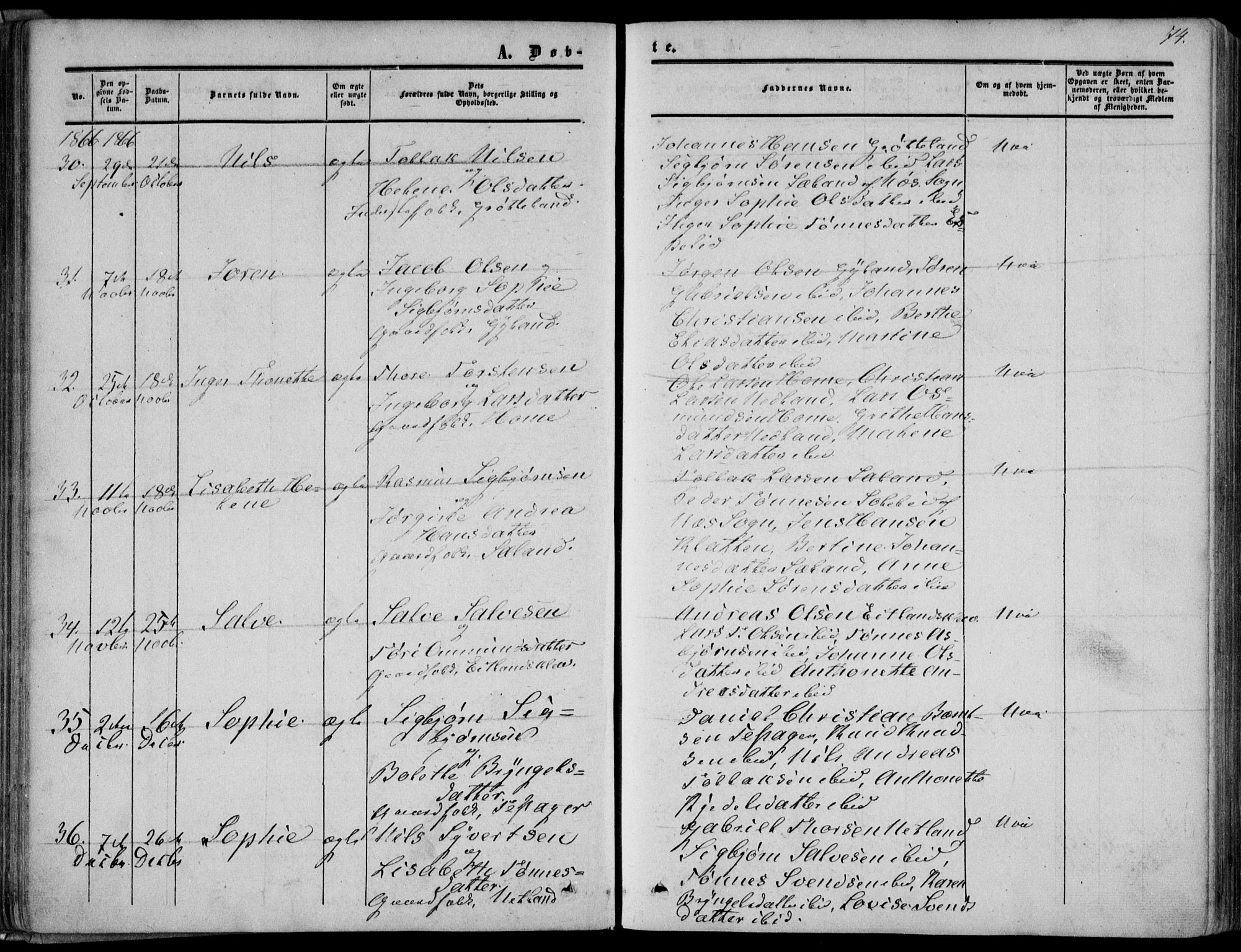 Bakke sokneprestkontor, AV/SAK-1111-0002/F/Fa/Fab/L0002: Parish register (official) no. A 2, 1855-1884, p. 74