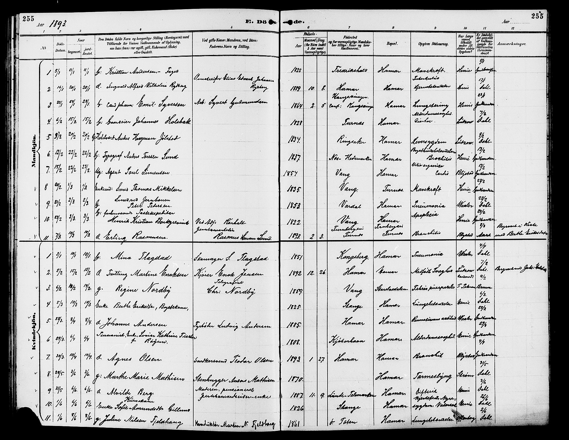 Vang prestekontor, Hedmark, AV/SAH-PREST-008/H/Ha/Hab/L0013: Parish register (copy) no. 13, 1890-1899, p. 255