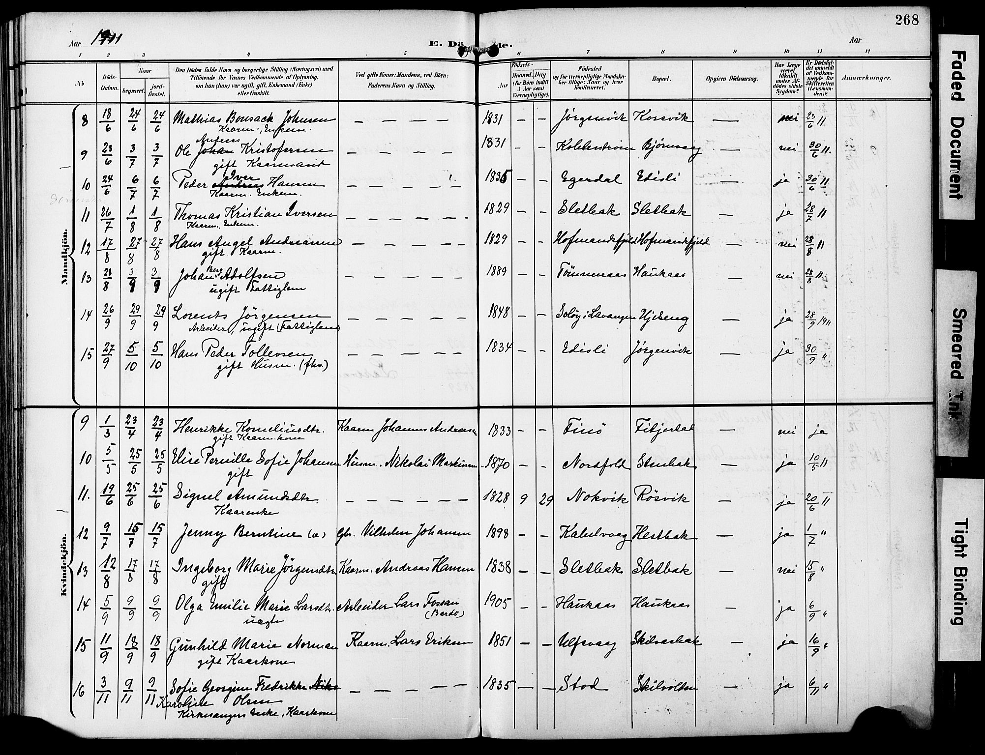 Ministerialprotokoller, klokkerbøker og fødselsregistre - Nordland, AV/SAT-A-1459/859/L0848: Parish register (official) no. 859A08, 1900-1912, p. 268