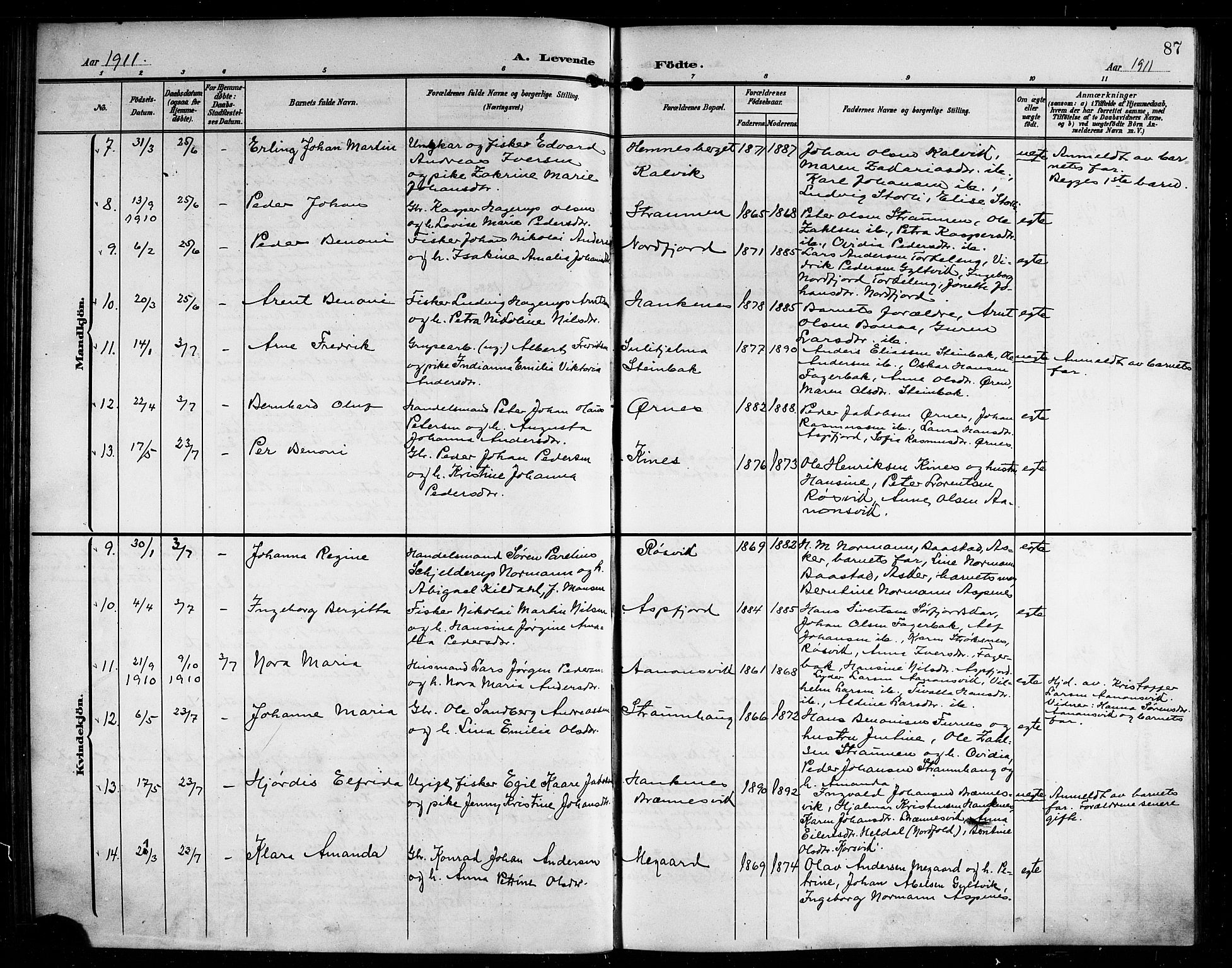 Ministerialprotokoller, klokkerbøker og fødselsregistre - Nordland, AV/SAT-A-1459/854/L0786: Parish register (copy) no. 854C02, 1901-1912, p. 87