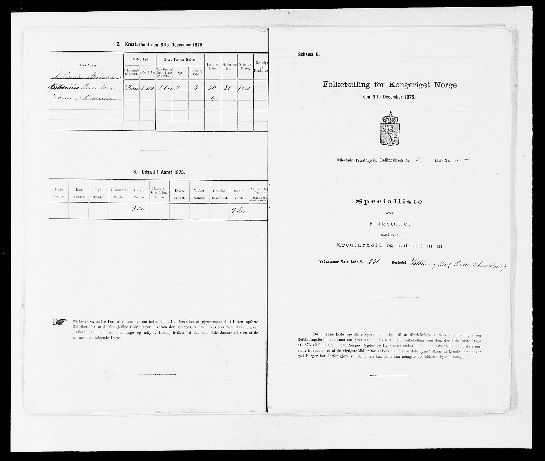 SAB, 1875 census for 1413P Hyllestad, 1875, p. 246