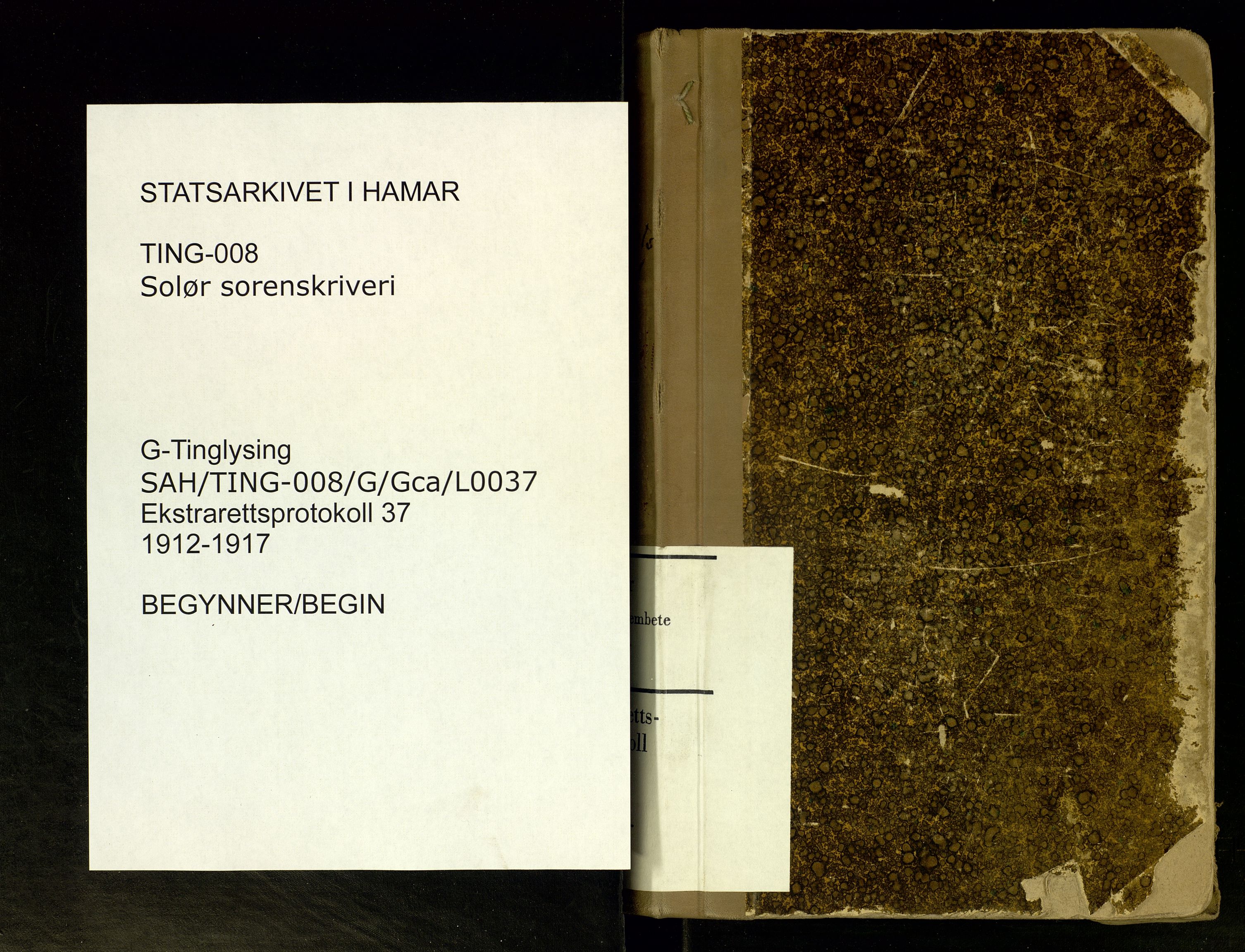 Solør tingrett, SAH/TING-008/G/Gc/Gca/L0037: Ekstrarettsprotokoll, 1912-1917
