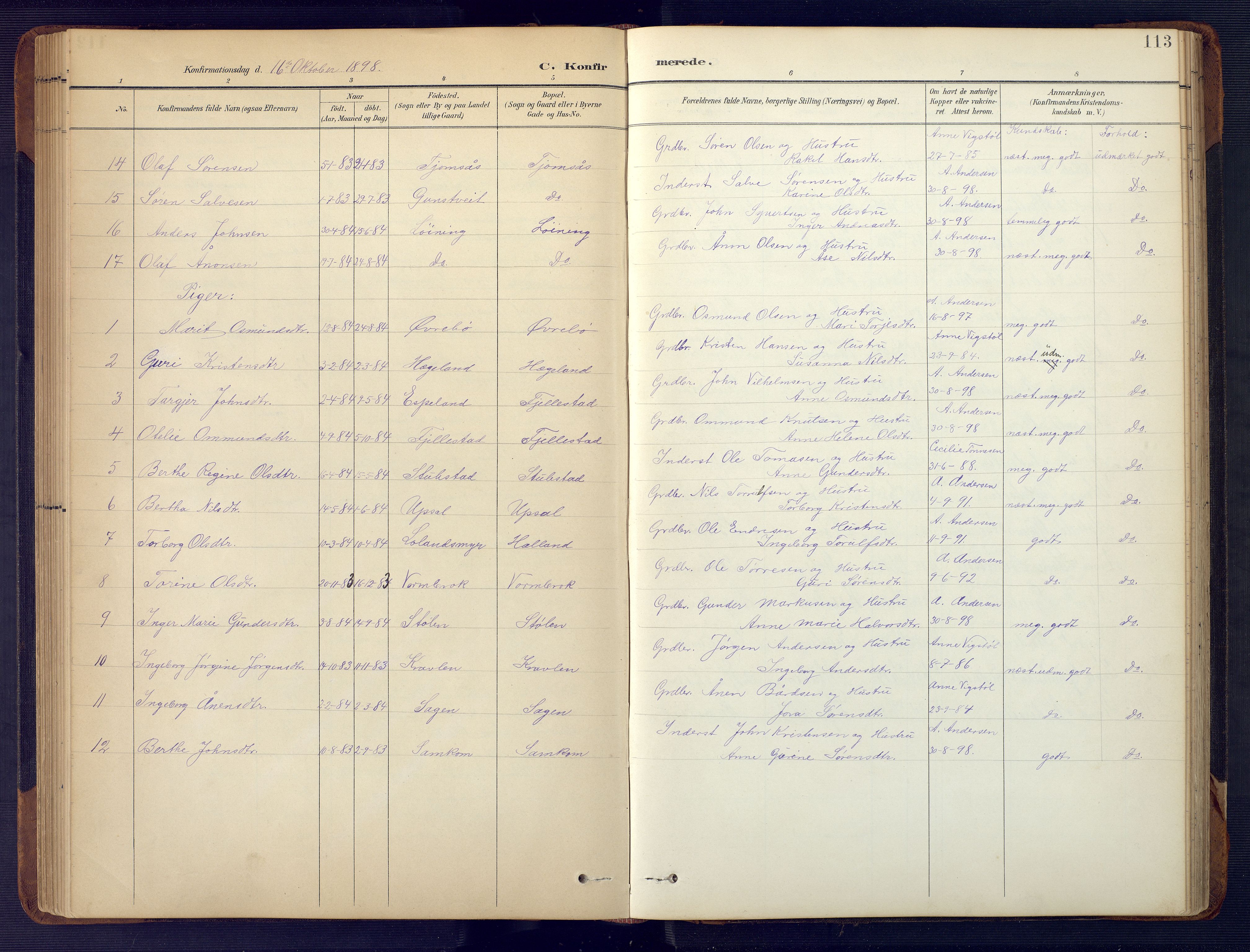 Vennesla sokneprestkontor, SAK/1111-0045/Fb/Fbc/L0003: Parish register (copy) no. B 3, 1895-1946, p. 113