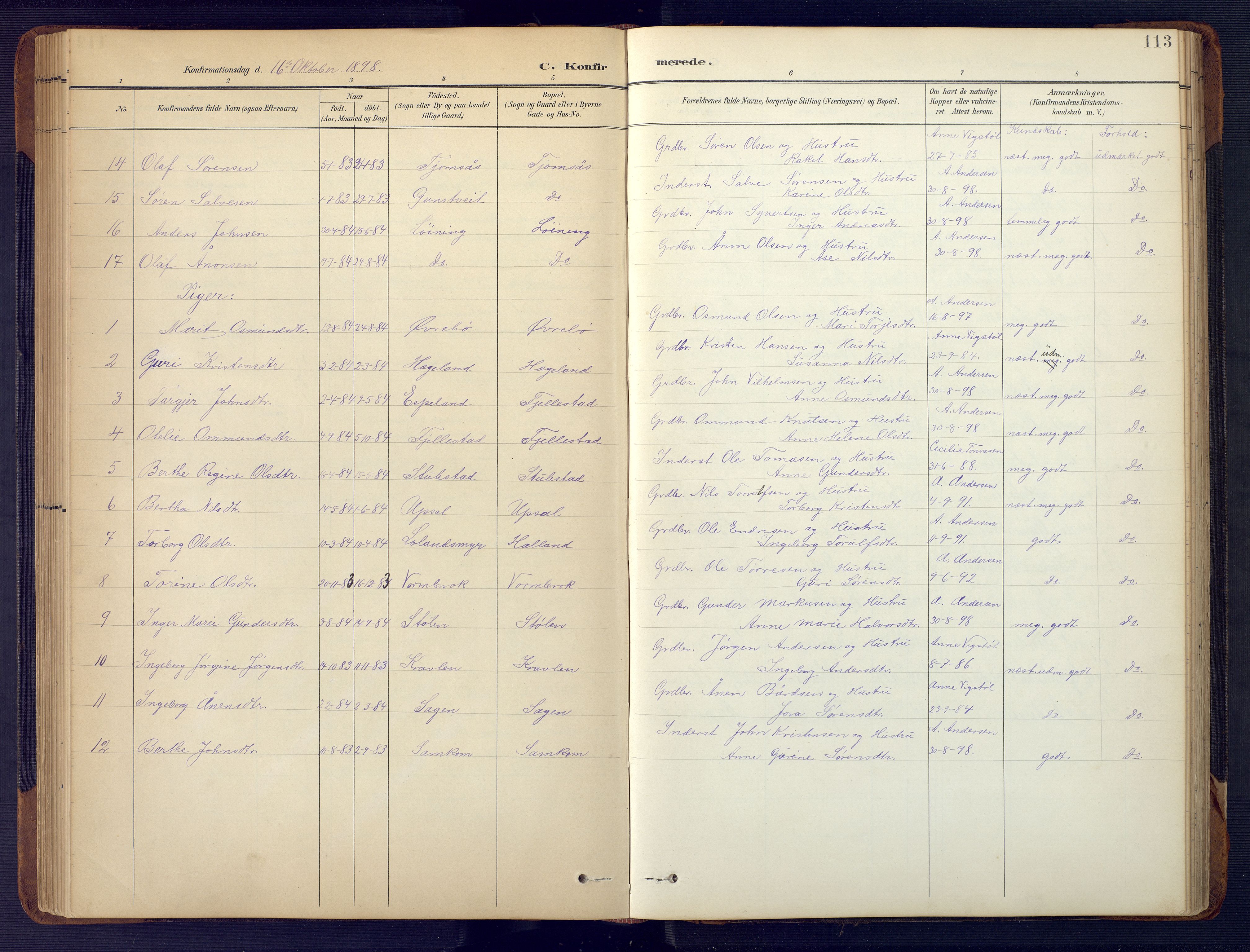 Vennesla sokneprestkontor, AV/SAK-1111-0045/Fb/Fbc/L0003: Parish register (copy) no. B 3, 1895-1946, p. 113