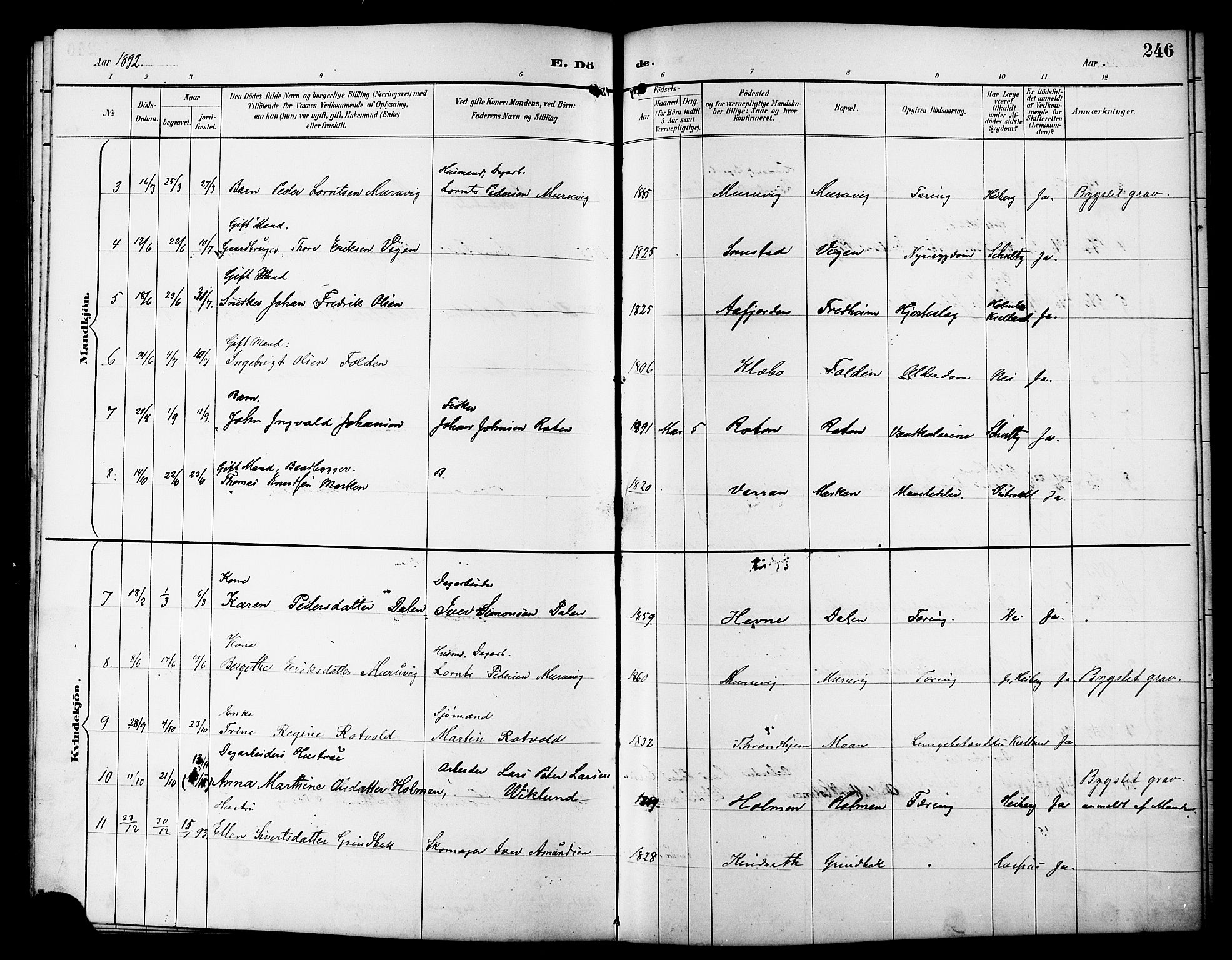 Ministerialprotokoller, klokkerbøker og fødselsregistre - Sør-Trøndelag, SAT/A-1456/617/L0431: Parish register (copy) no. 617C01, 1889-1910, p. 246