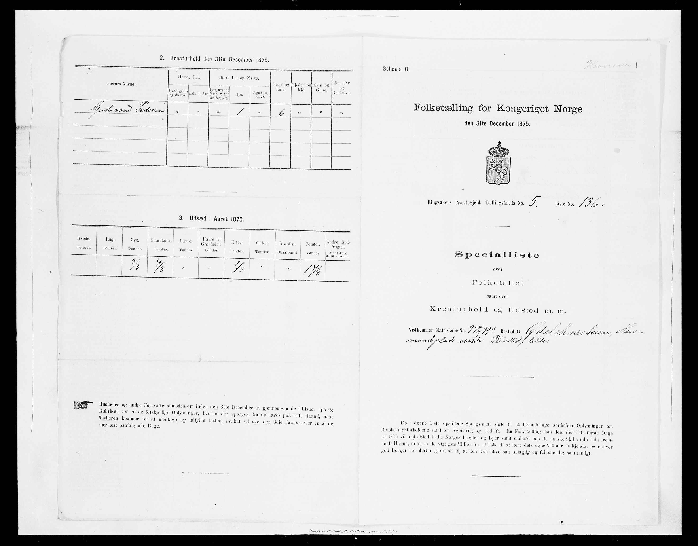 SAH, 1875 census for 0412P Ringsaker, 1875, p. 1202