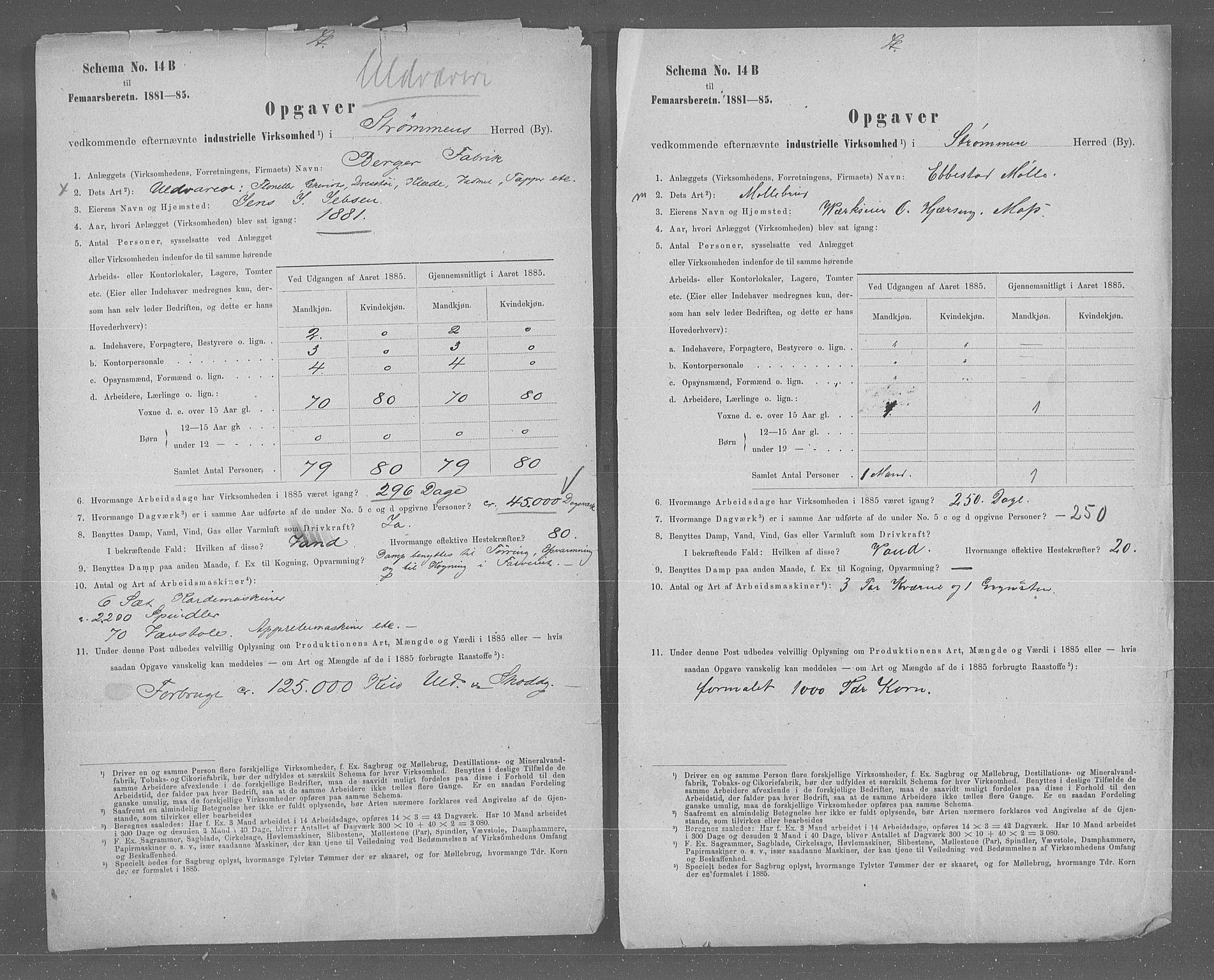 Statistisk sentralbyrå, Næringsøkonomiske emner, Generelt - Amtmennenes femårsberetninger, AV/RA-S-2233/F/Fa/L0065: --, 1885, p. 2