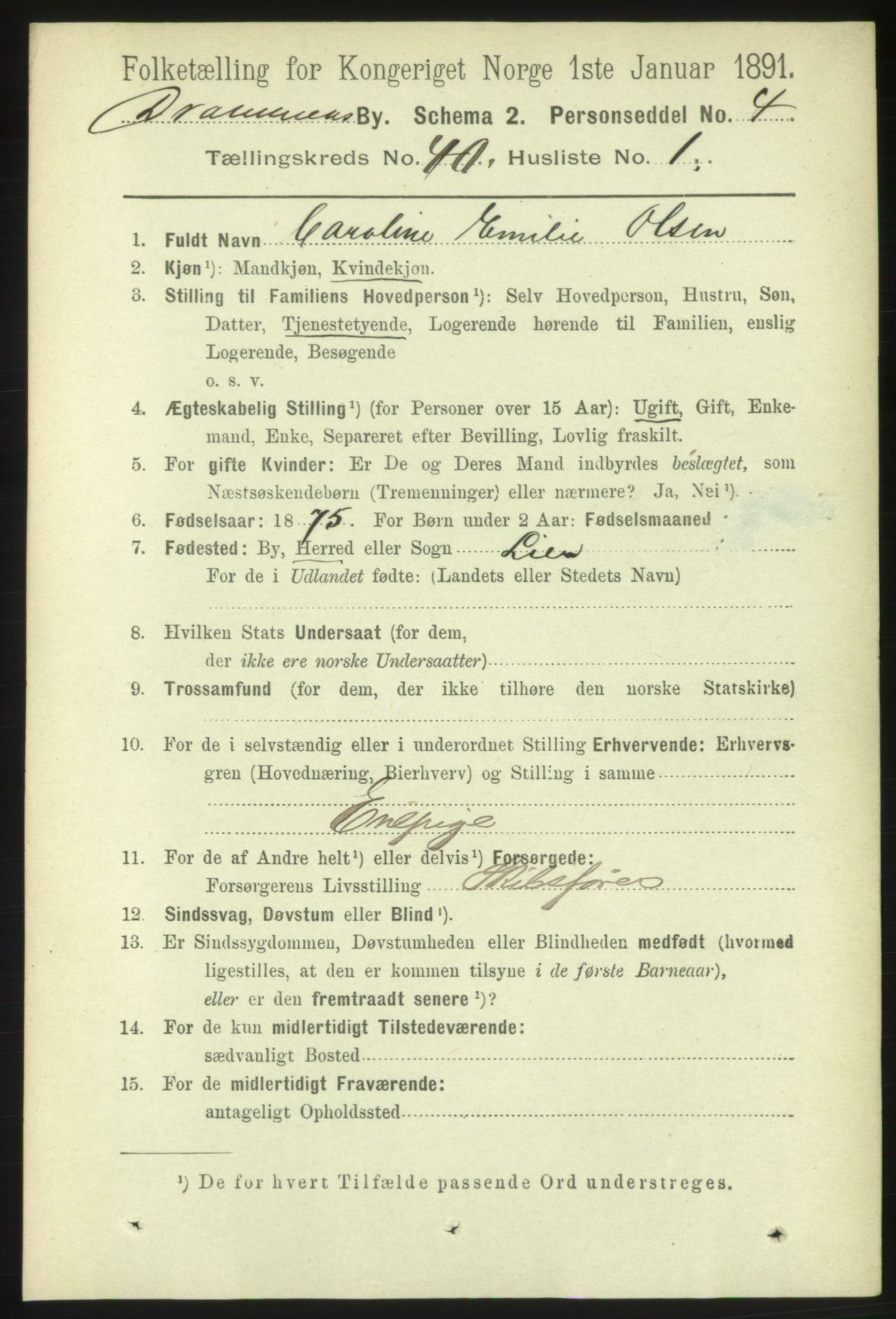 RA, 1891 census for 0602 Drammen, 1891, p. 23703