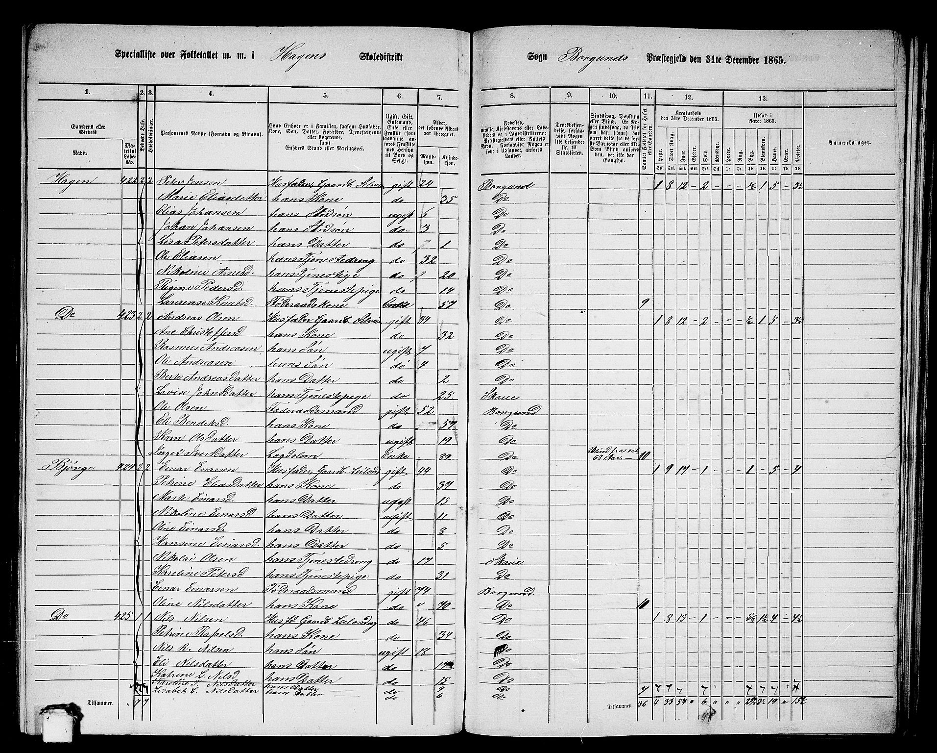 RA, 1865 census for Borgund, 1865, p. 213