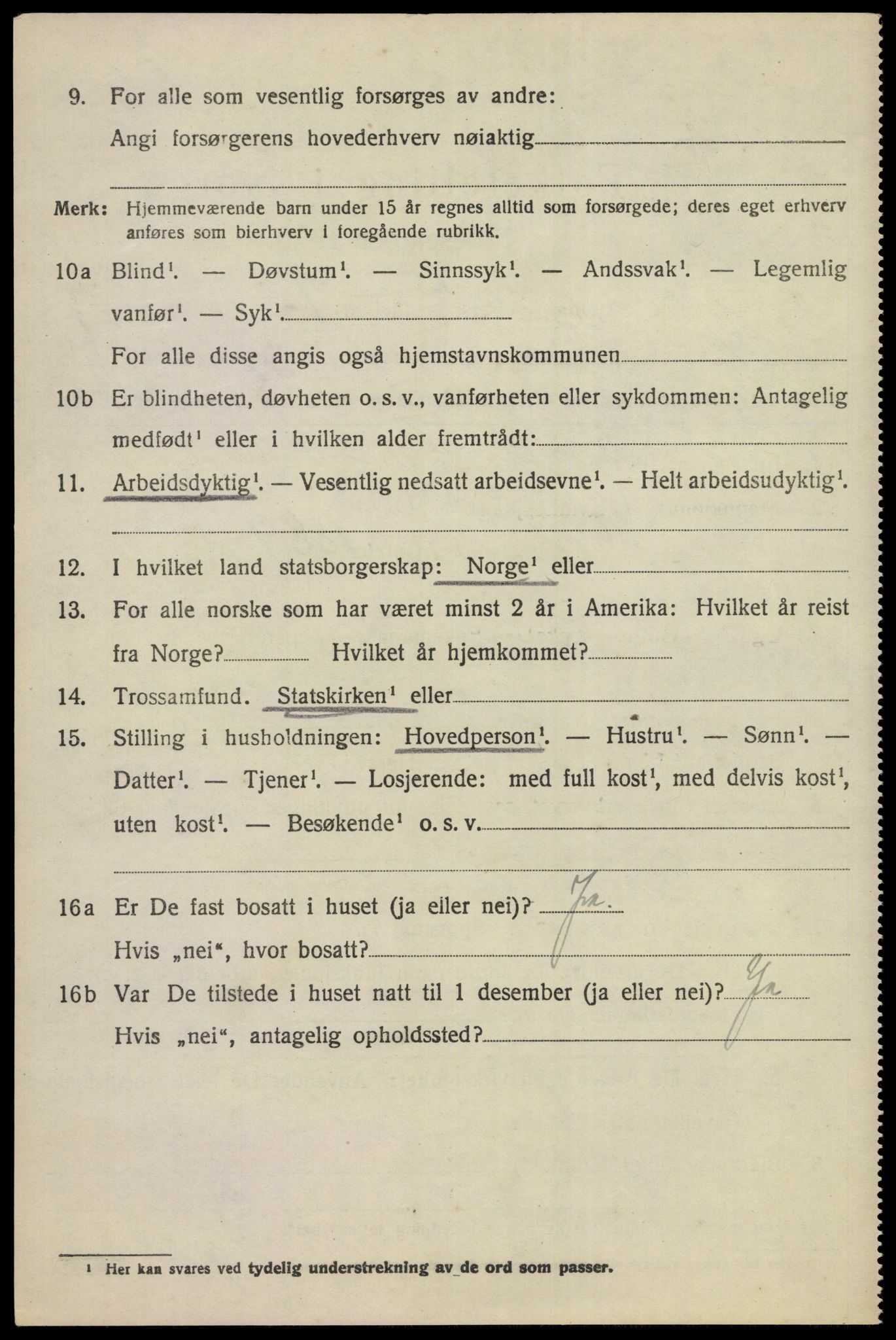 SAKO, 1920 census for Nes (Buskerud), 1920, p. 4337