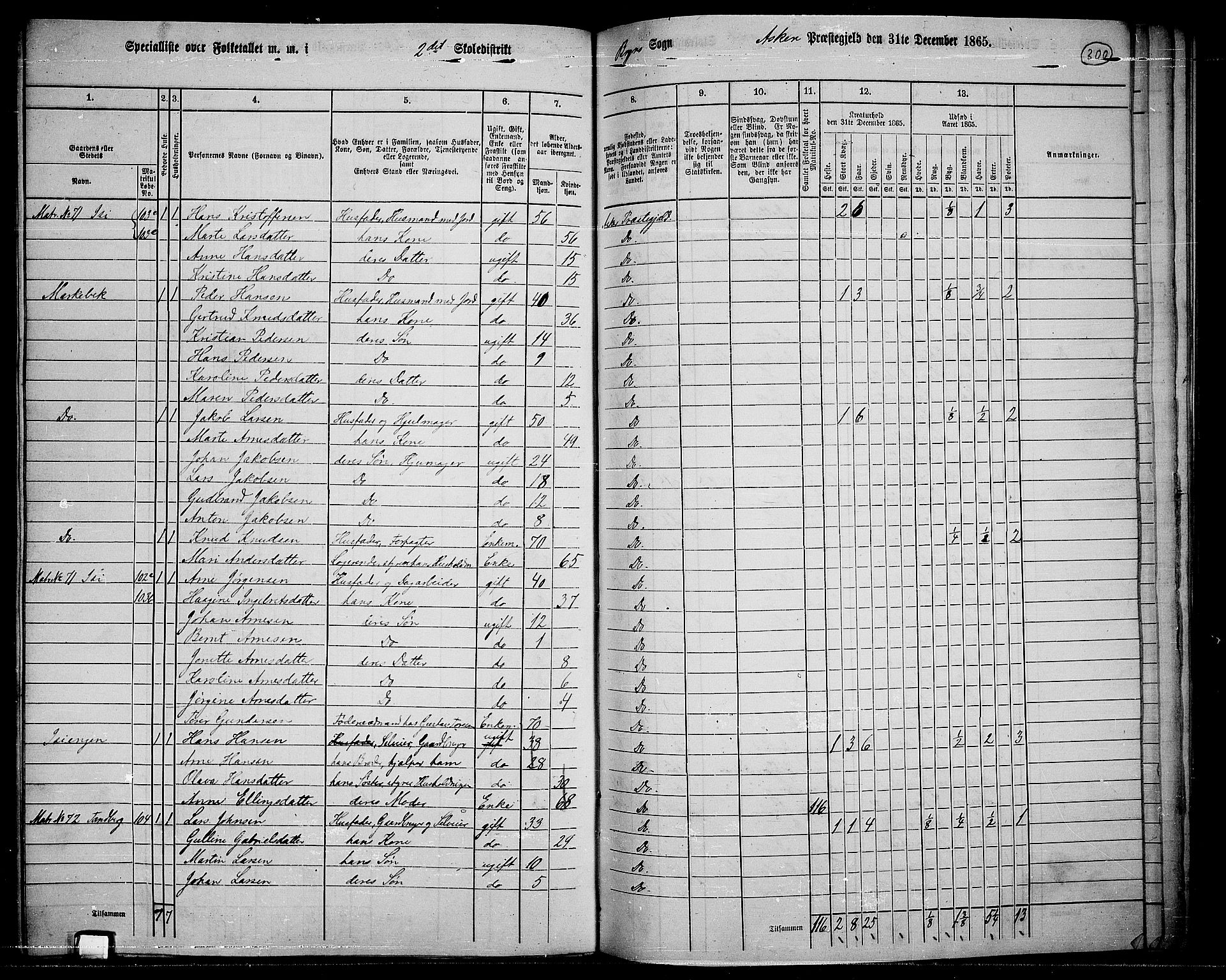 RA, 1865 census for Asker, 1865, p. 289