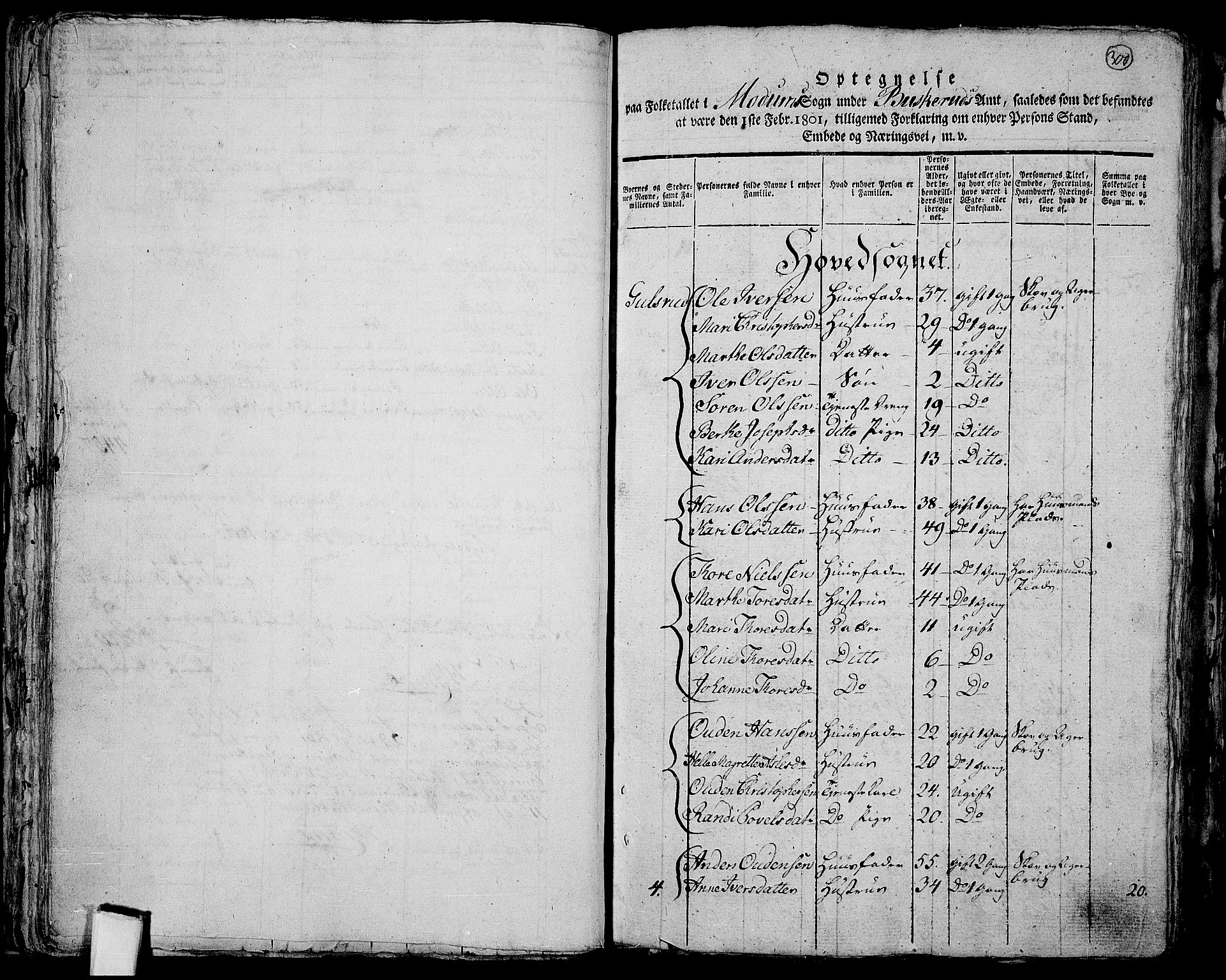 RA, 1801 census for 0623P Modum, 1801, p. 299b-300a