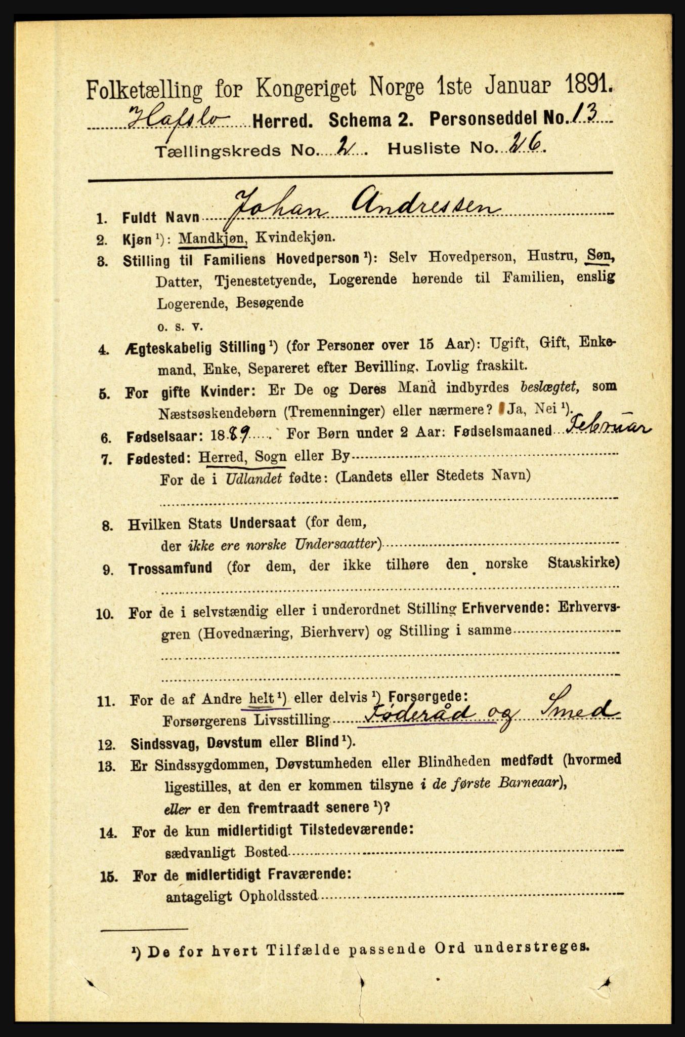 RA, 1891 census for 1425 Hafslo, 1891, p. 676