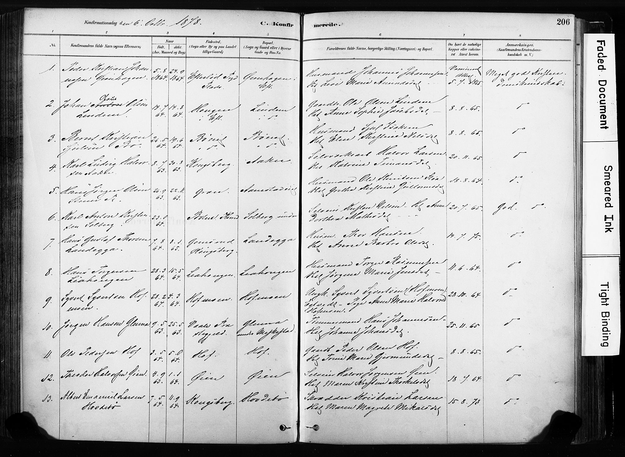 Sandsvær kirkebøker, SAKO/A-244/F/Fb/L0001: Parish register (official) no. II 1, 1878-1906, p. 206
