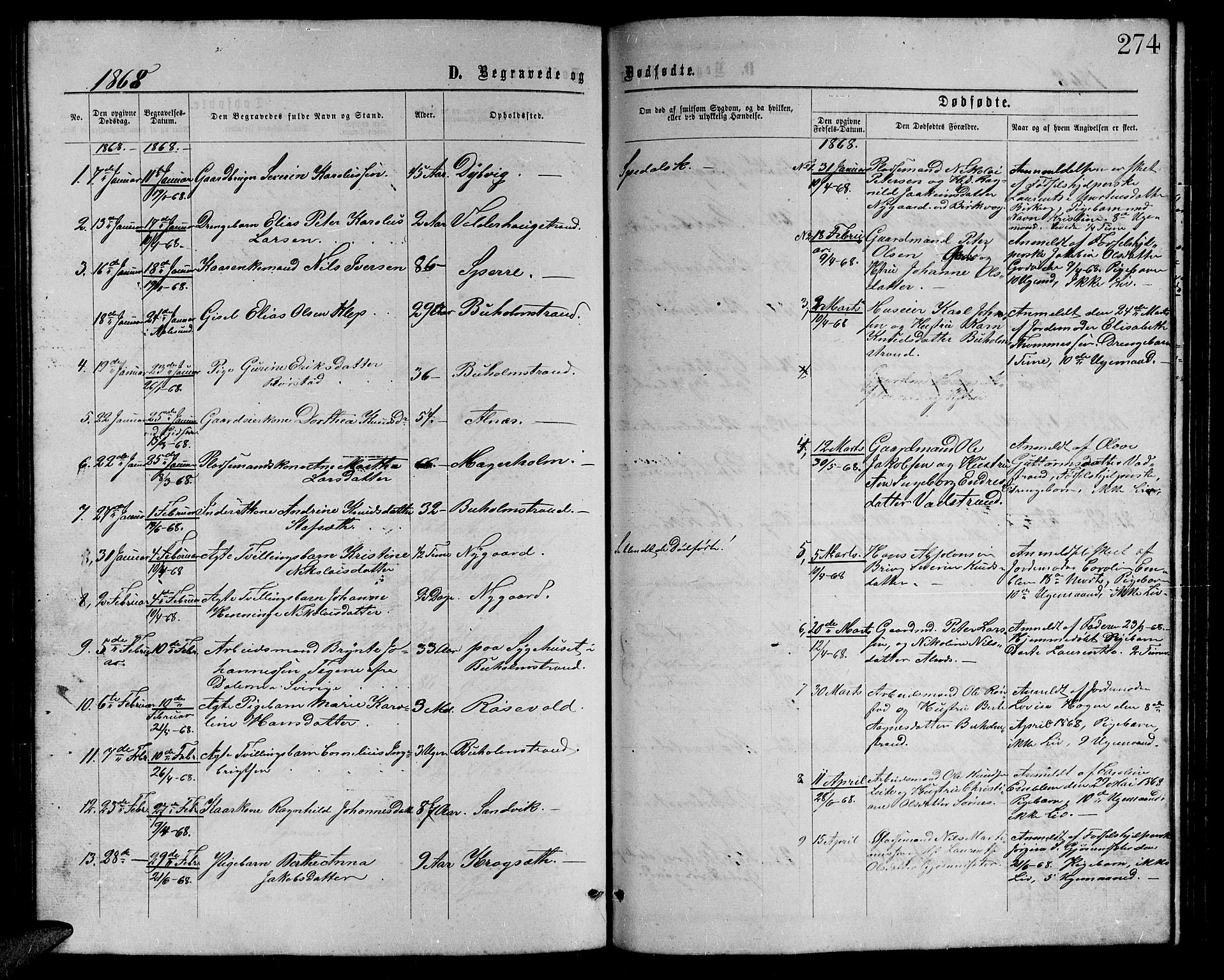 Ministerialprotokoller, klokkerbøker og fødselsregistre - Møre og Romsdal, AV/SAT-A-1454/528/L0428: Parish register (copy) no. 528C09, 1864-1880, p. 274