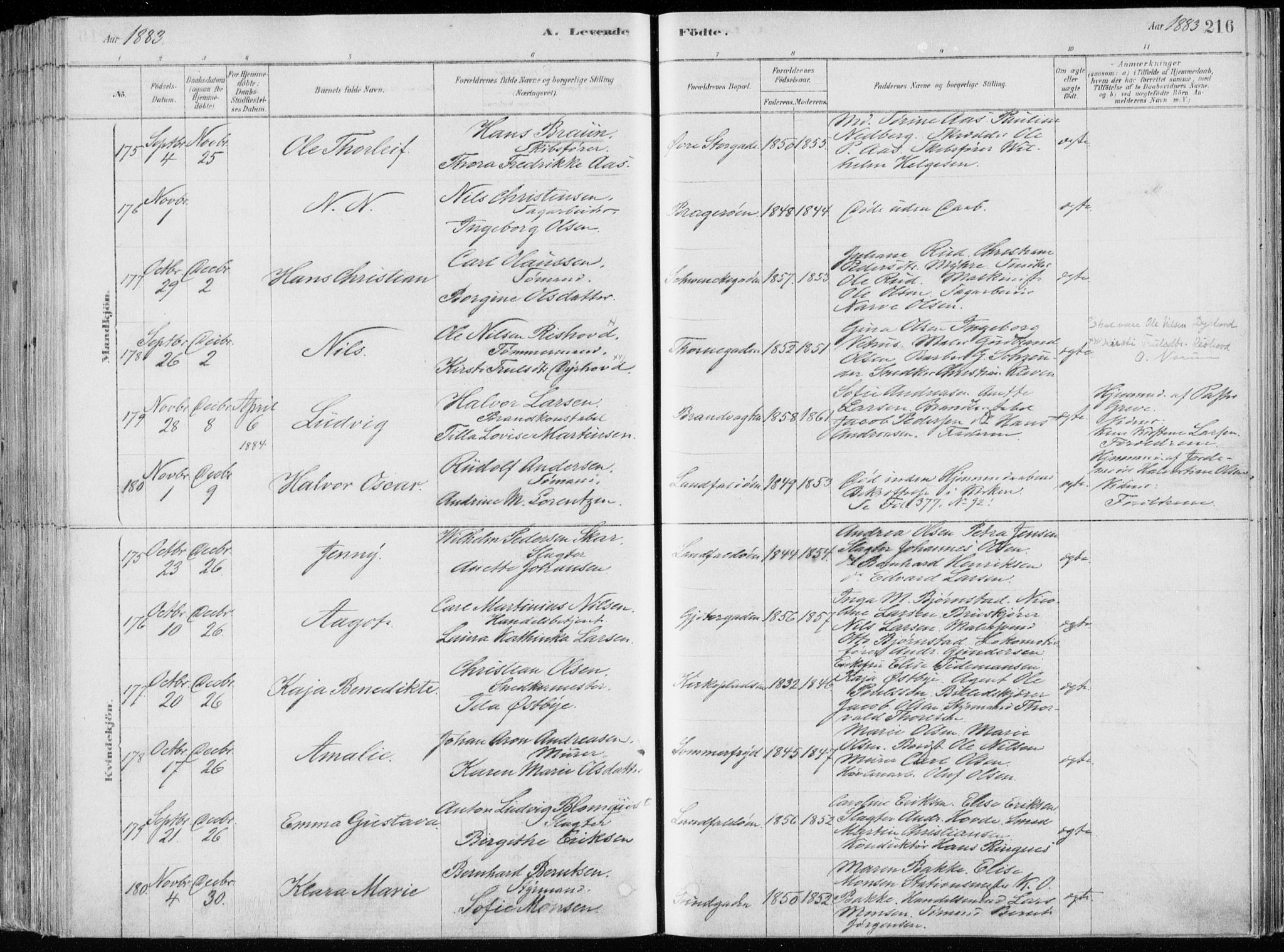 Bragernes kirkebøker, AV/SAKO-A-6/F/Fb/L0006a: Parish register (official) no. II 6A, 1878-1885, p. 216