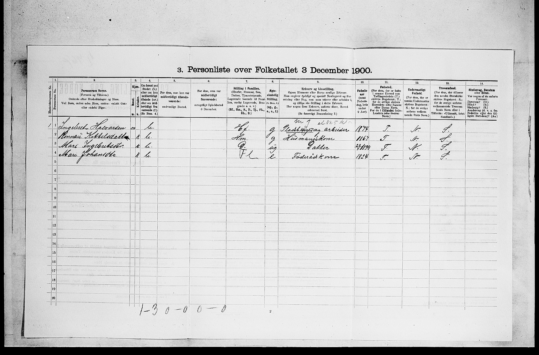 SAKO, 1900 census for Bø, 1900, p. 807