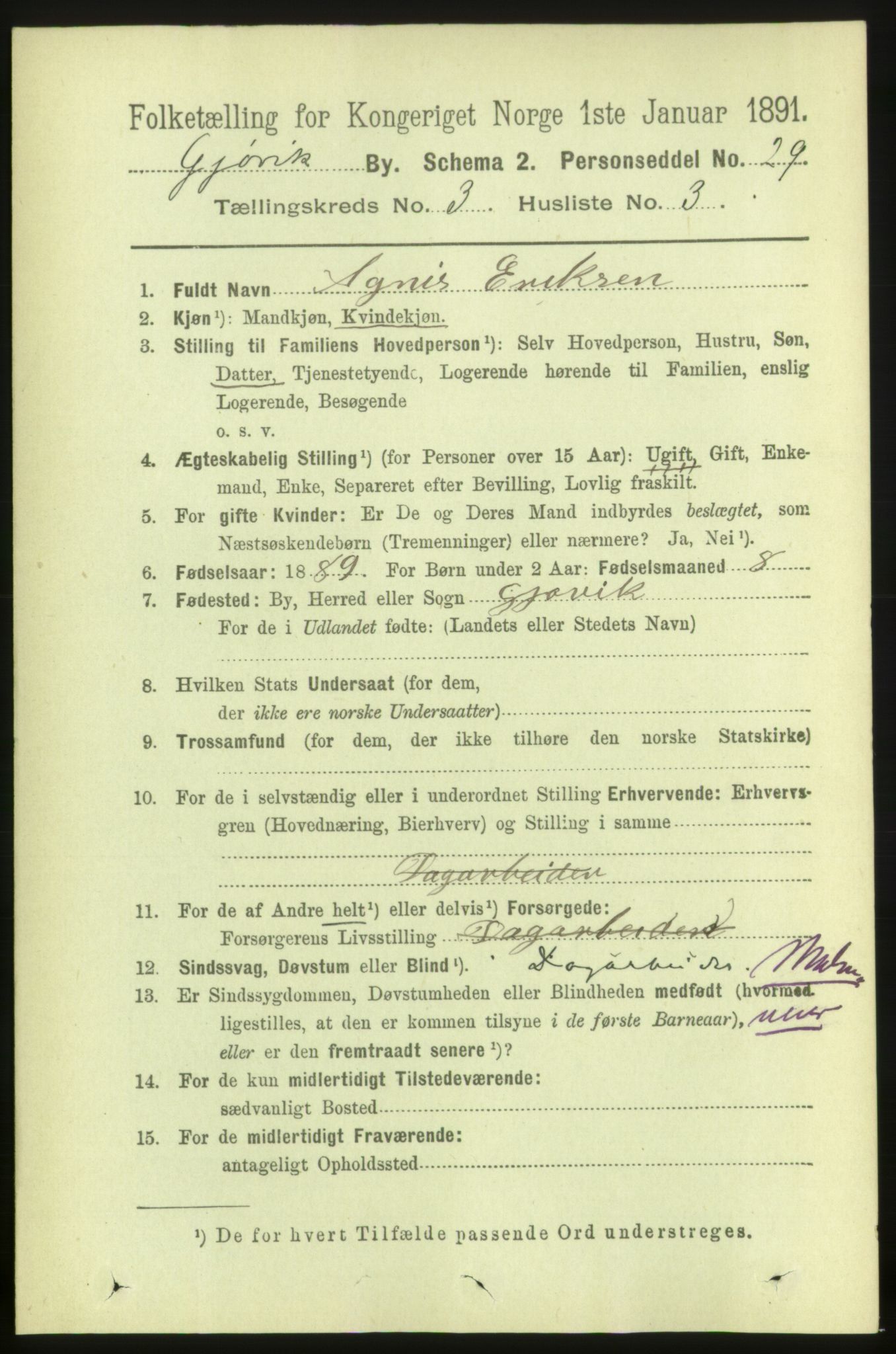 RA, 1891 census for 0502 Gjøvik, 1891, p. 1040