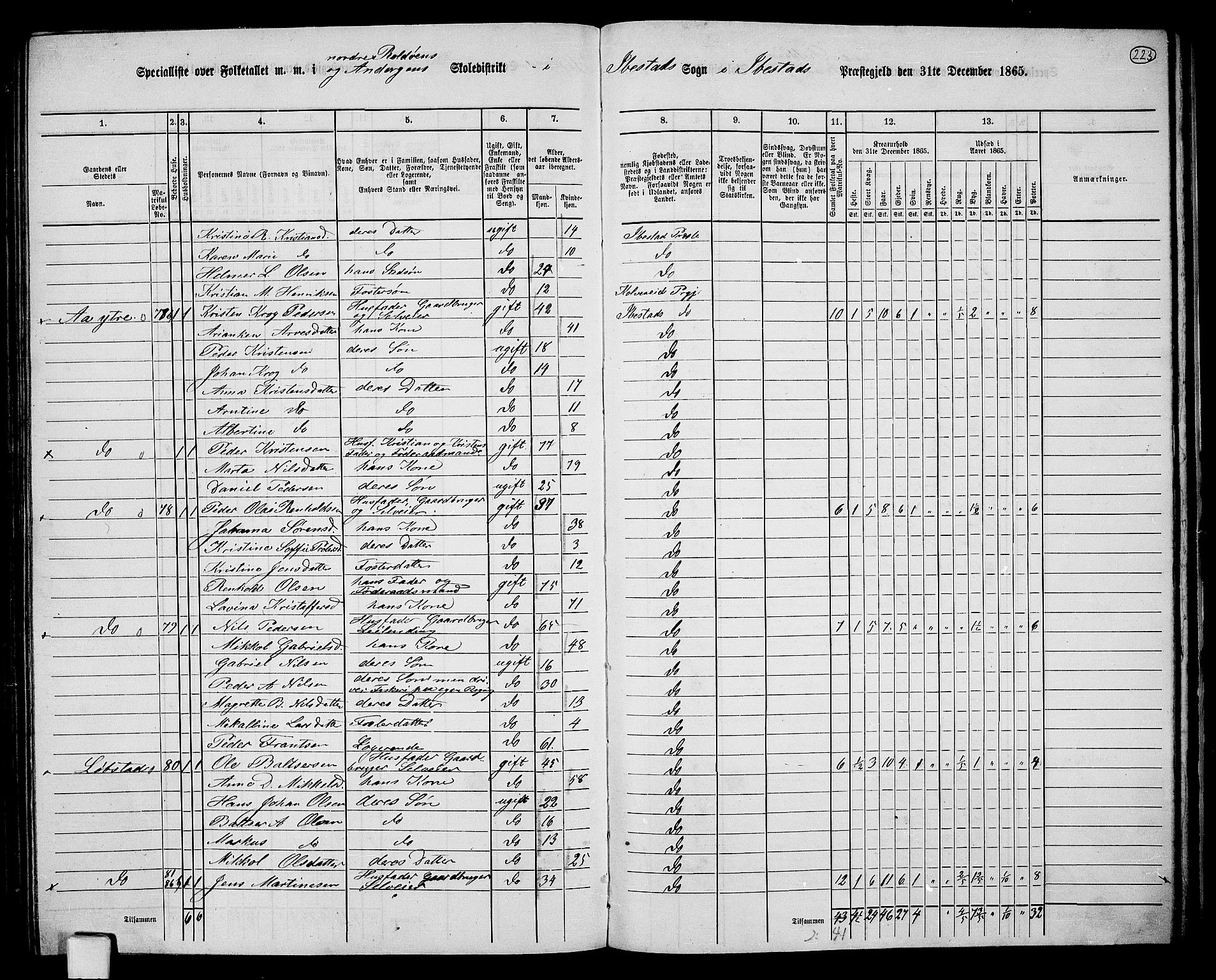 RA, 1865 census for Ibestad, 1865, p. 208