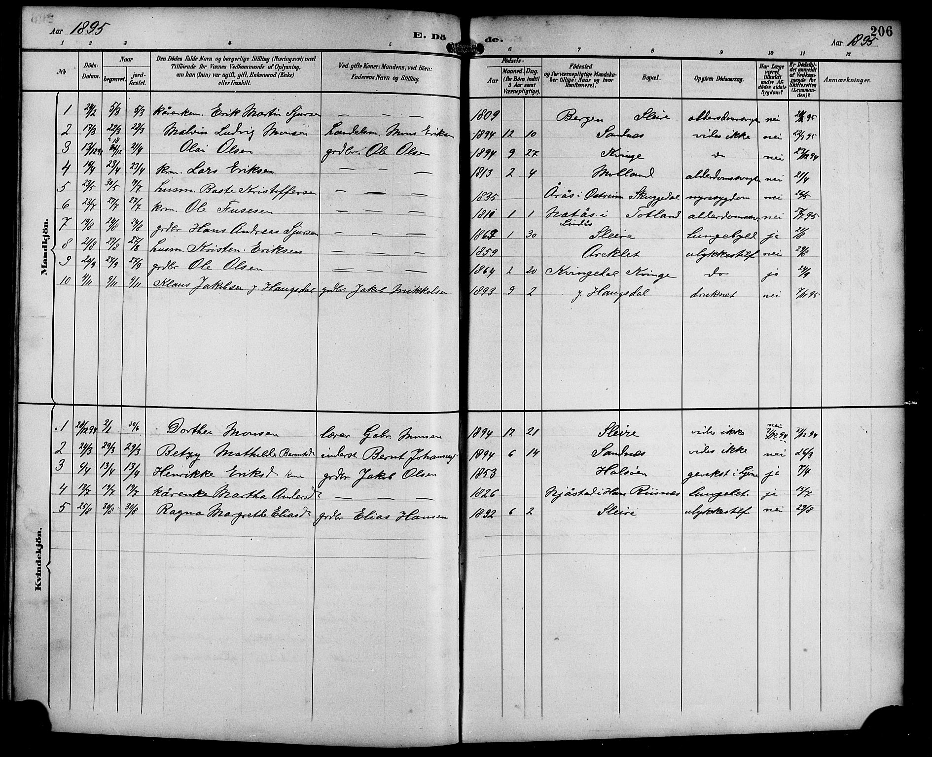 Masfjorden Sokneprestembete, AV/SAB-A-77001: Parish register (copy) no. B 1, 1892-1913, p. 206