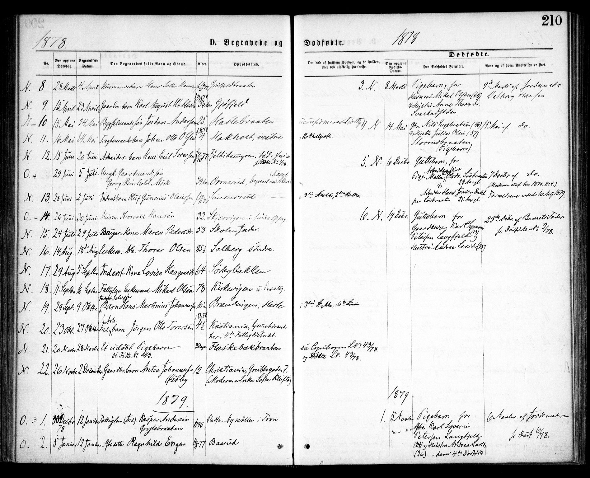 Nesodden prestekontor Kirkebøker, AV/SAO-A-10013/F/Fa/L0008: Parish register (official) no. I 8, 1869-1879, p. 210