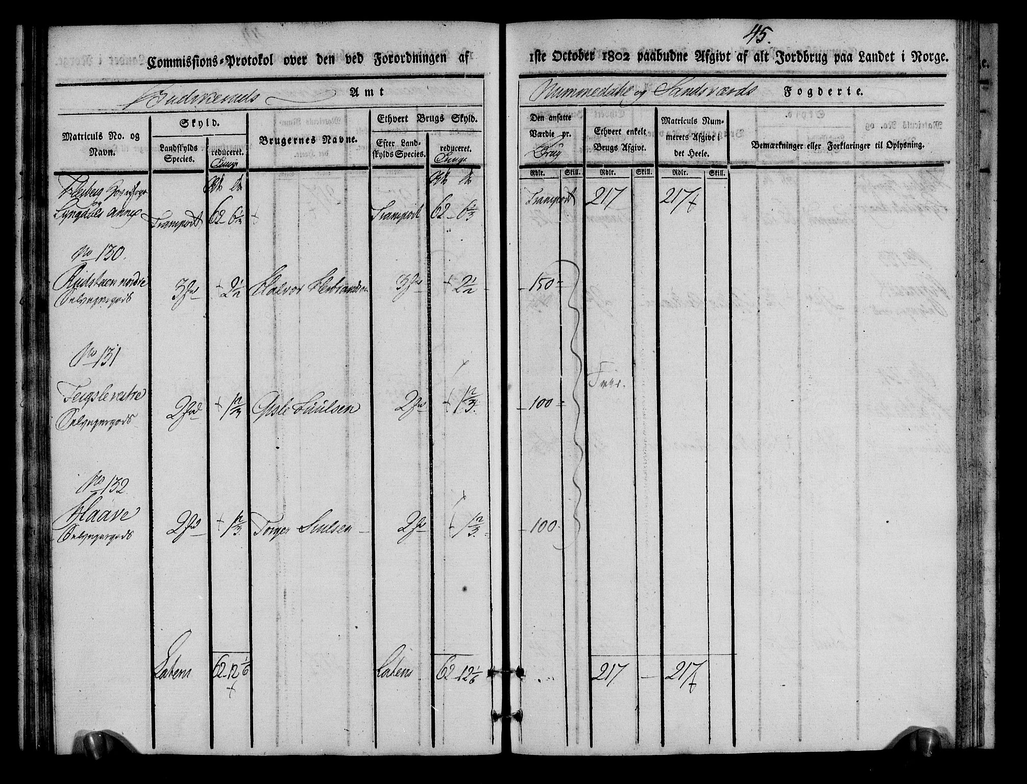 Rentekammeret inntil 1814, Realistisk ordnet avdeling, AV/RA-EA-4070/N/Ne/Nea/L0055: Numedal og Sandsvær fogderi. Kommisjonsprotokoll for Flesberg prestegjeld, 1803, p. 46