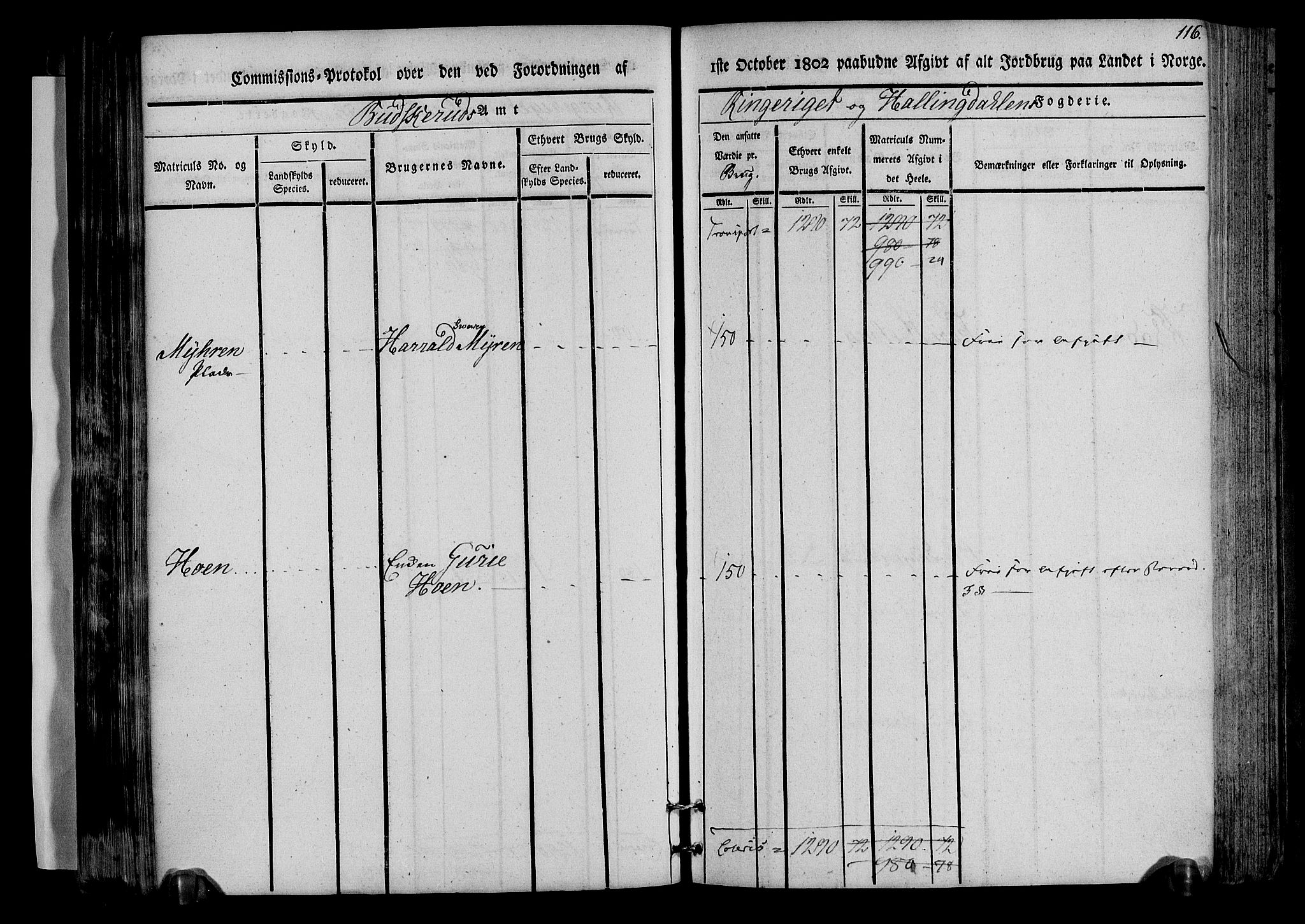 Rentekammeret inntil 1814, Realistisk ordnet avdeling, AV/RA-EA-4070/N/Ne/Nea/L0045: Ringerike og Hallingdal fogderi. Kommisjonsprotokoll for Norderhov prestegjeld, 1803, p. 119