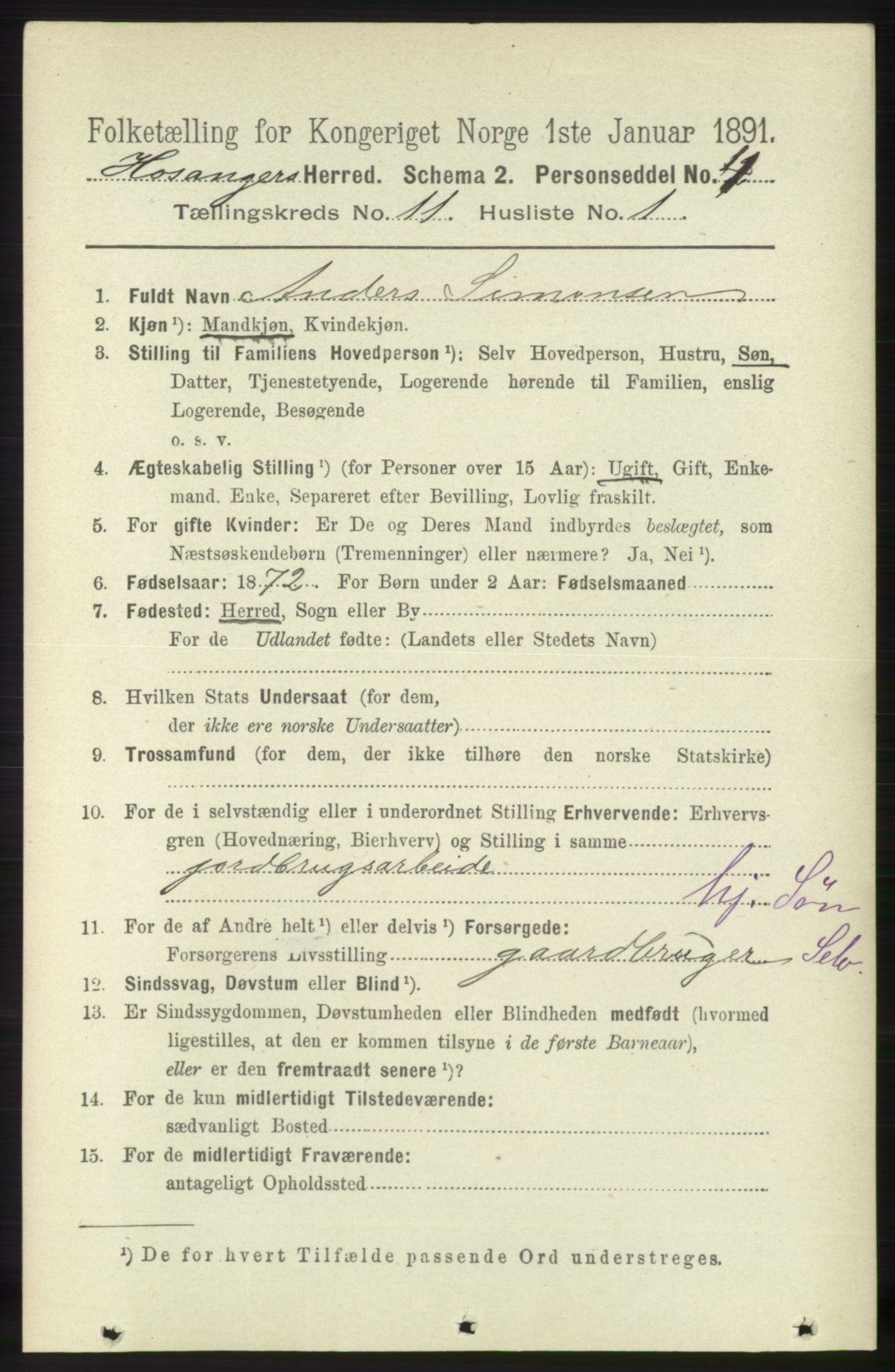 RA, 1891 census for 1253 Hosanger, 1891, p. 3695