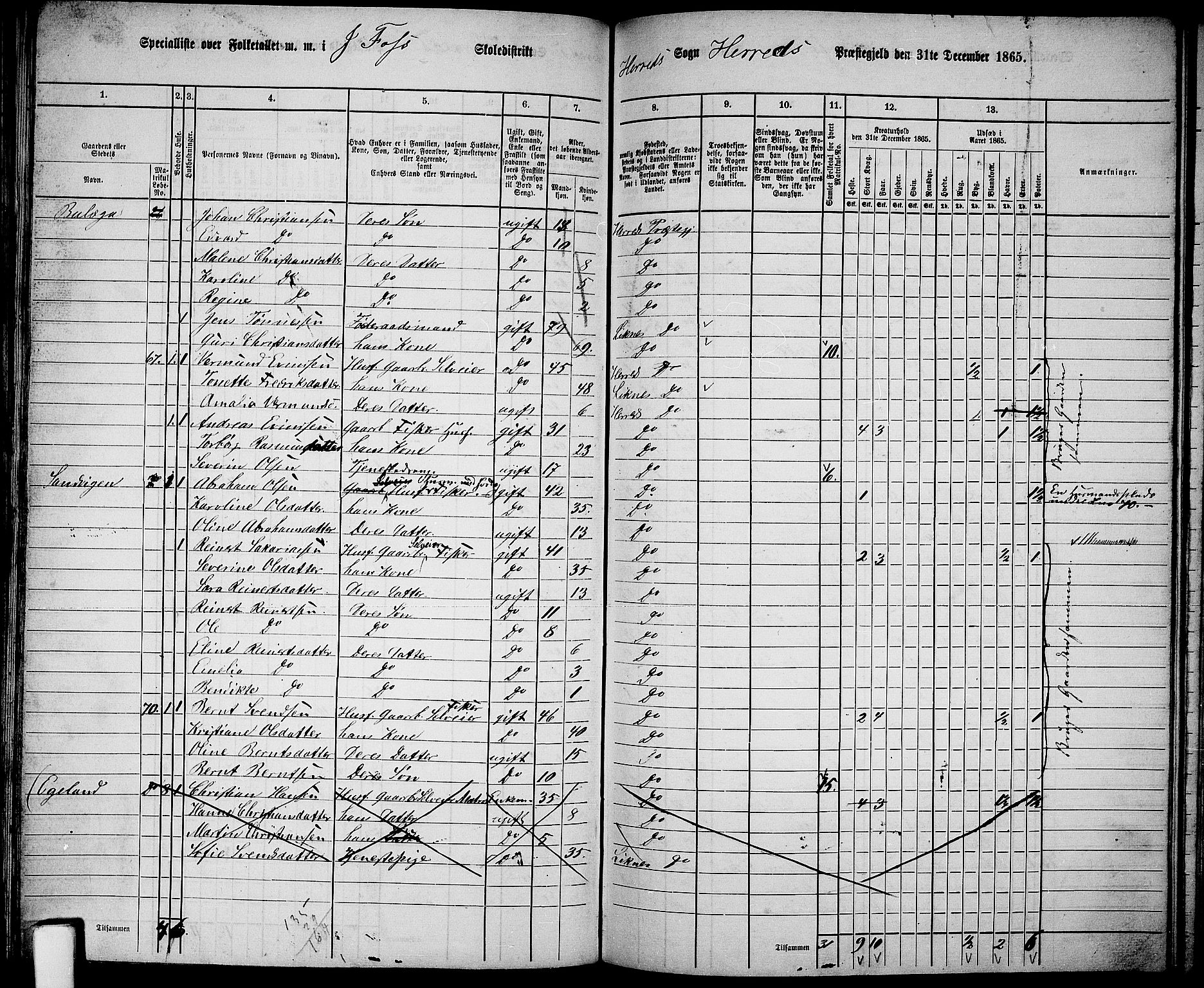 RA, 1865 census for Herad, 1865, p. 26