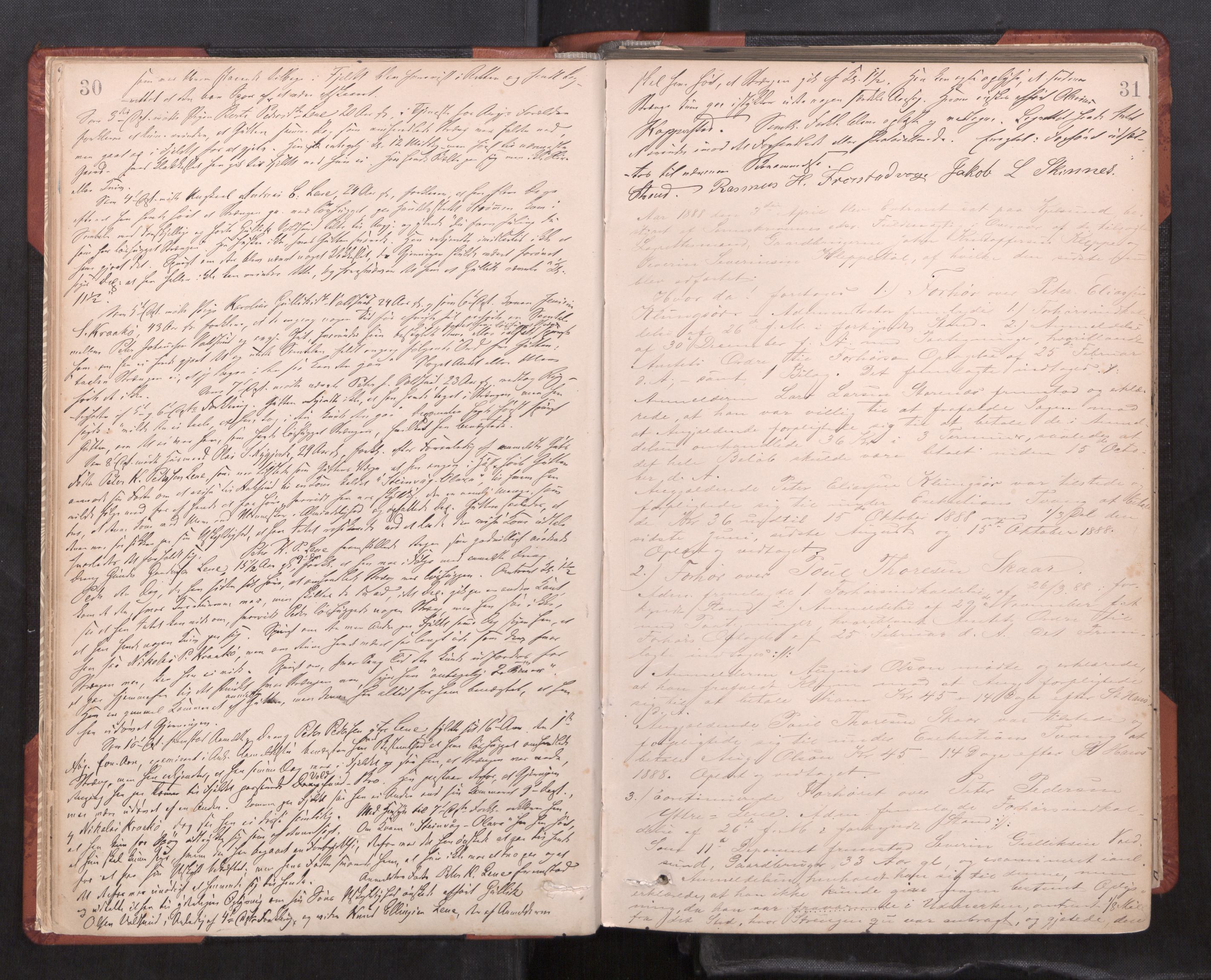 Søre Sunnmøre sorenskriveri, AV/SAT-A-4122/1/1/1B/L0010: Ekstrarettsprotokollar, 1886-1910, p. 30-31
