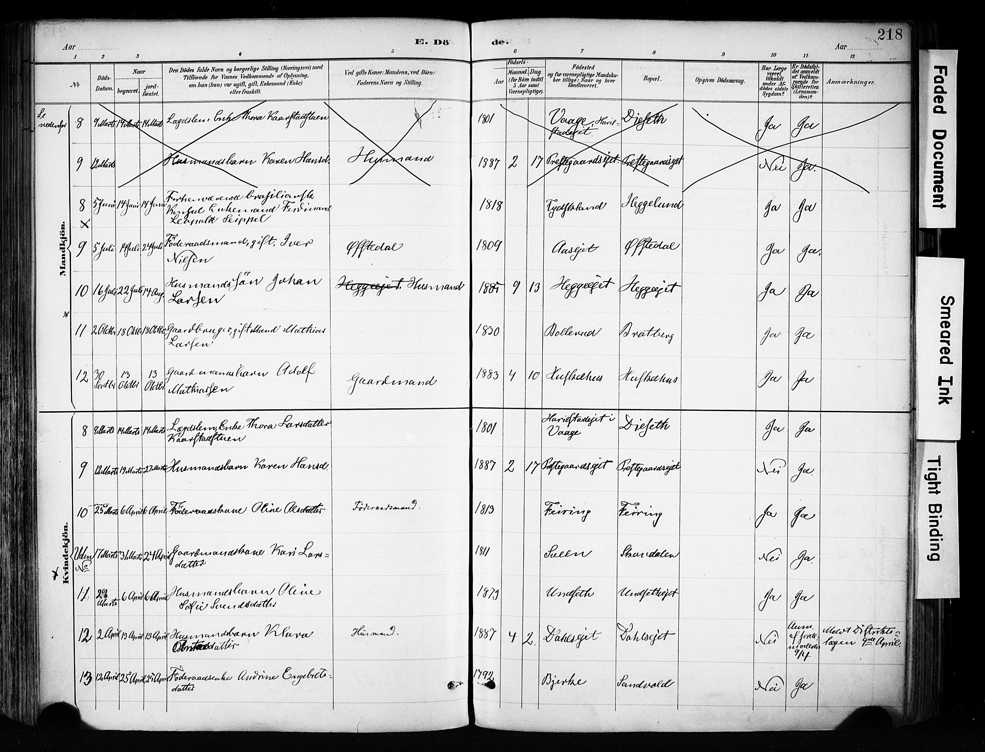 Biri prestekontor, AV/SAH-PREST-096/H/Ha/Haa/L0009: Parish register (official) no. 9, 1887-1900, p. 218