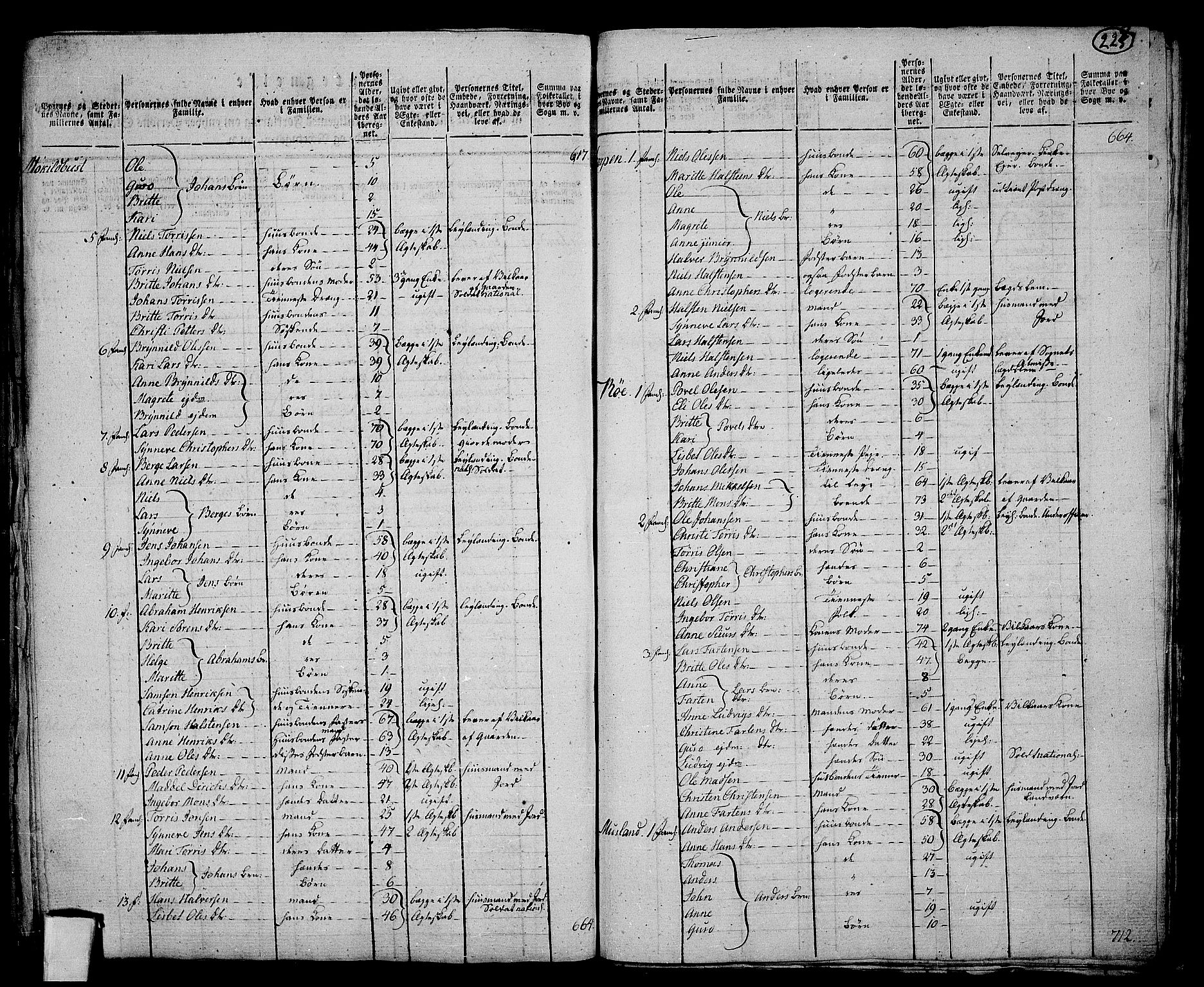 RA, 1801 census for 1224P Kvinnherad, 1801, p. 224b-225a