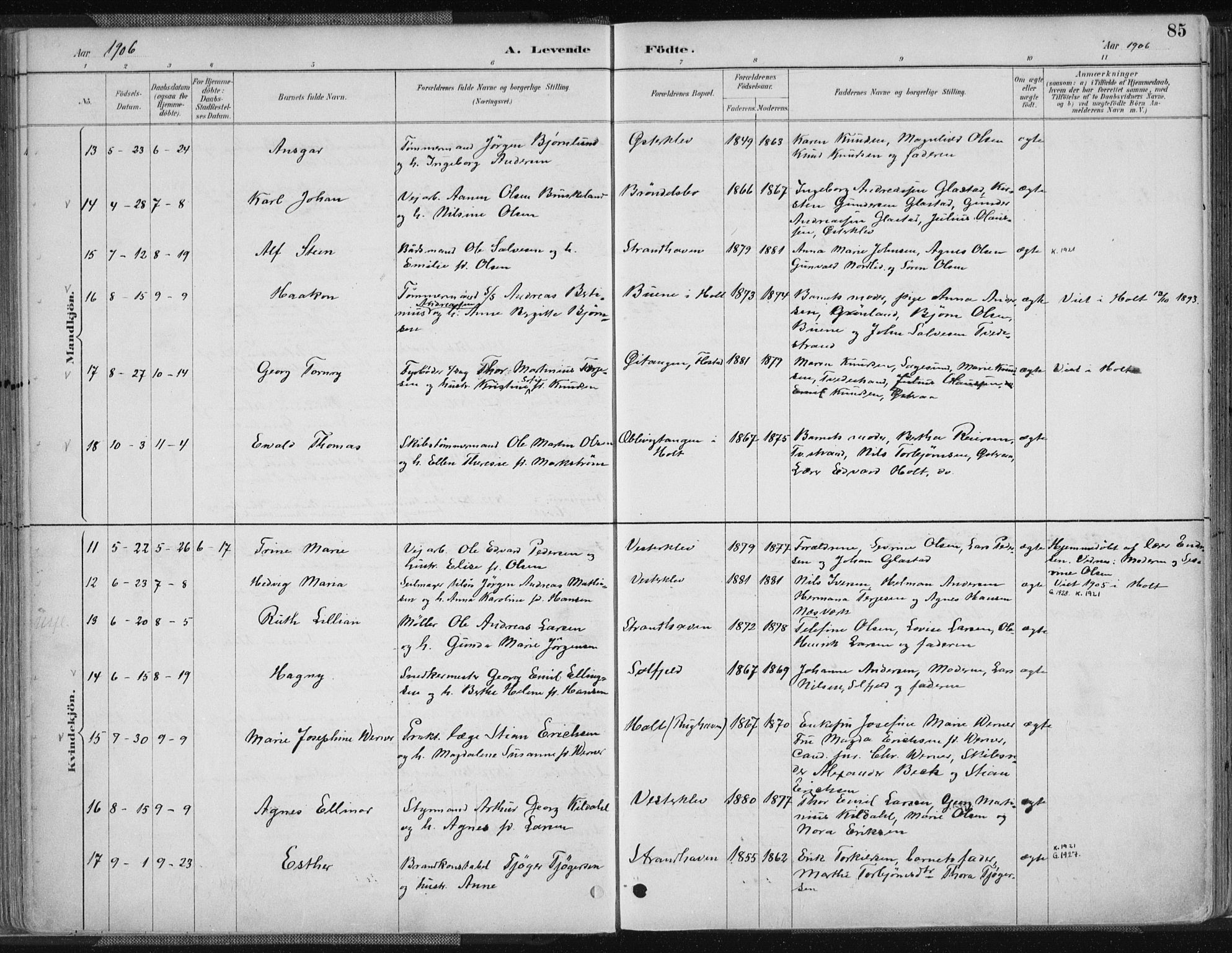 Tvedestrand sokneprestkontor, AV/SAK-1111-0042/F/Fa/L0001: Parish register (official) no. A 1, 1885-1916, p. 85