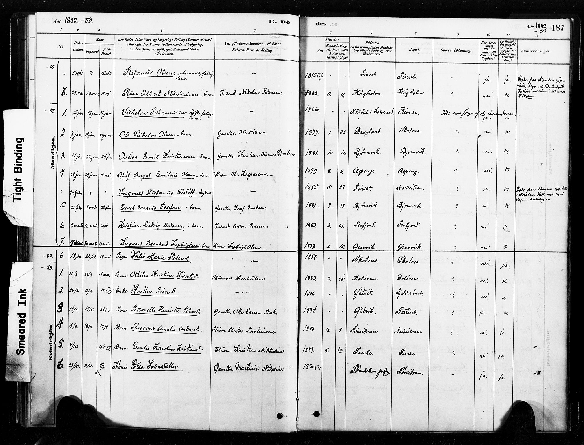 Ministerialprotokoller, klokkerbøker og fødselsregistre - Nord-Trøndelag, SAT/A-1458/789/L0705: Parish register (official) no. 789A01, 1878-1910, p. 187