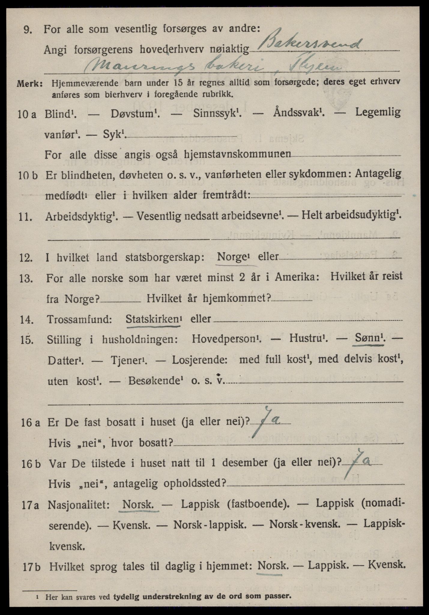 SAT, 1920 census for Strinda, 1920, p. 17585