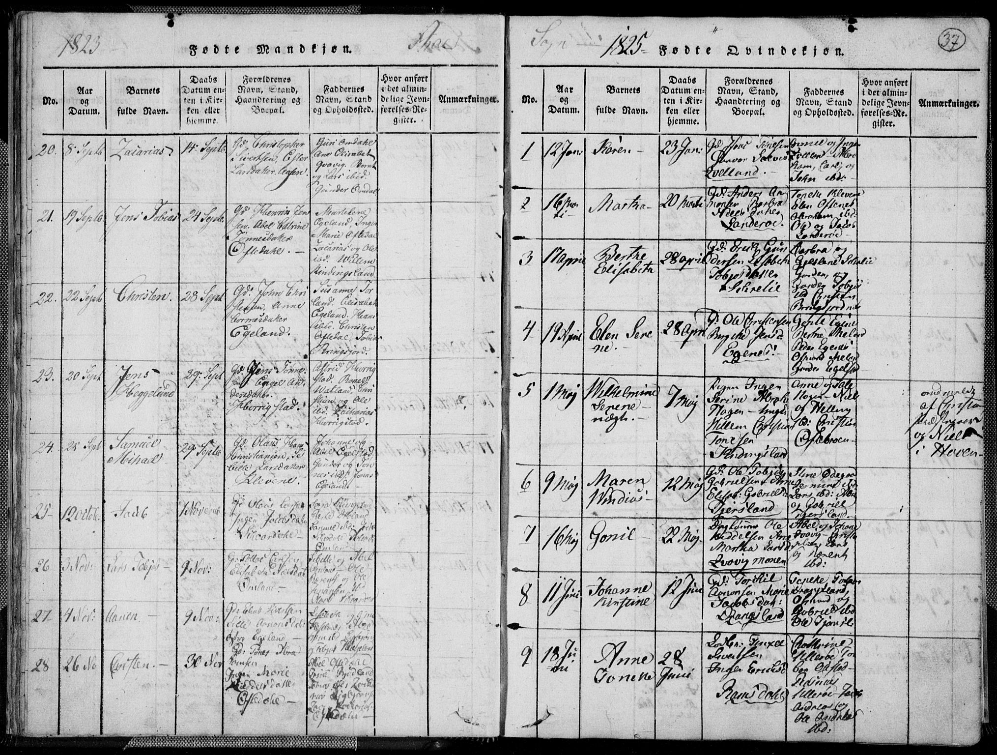 Lyngdal sokneprestkontor, AV/SAK-1111-0029/F/Fa/Fac/L0006: Parish register (official) no. A 6, 1815-1825, p. 37