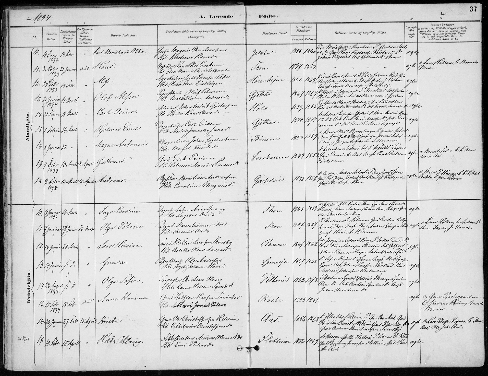 Modum kirkebøker, AV/SAKO-A-234/F/Fa/L0012: Parish register (official) no. 12, 1890-1898, p. 37